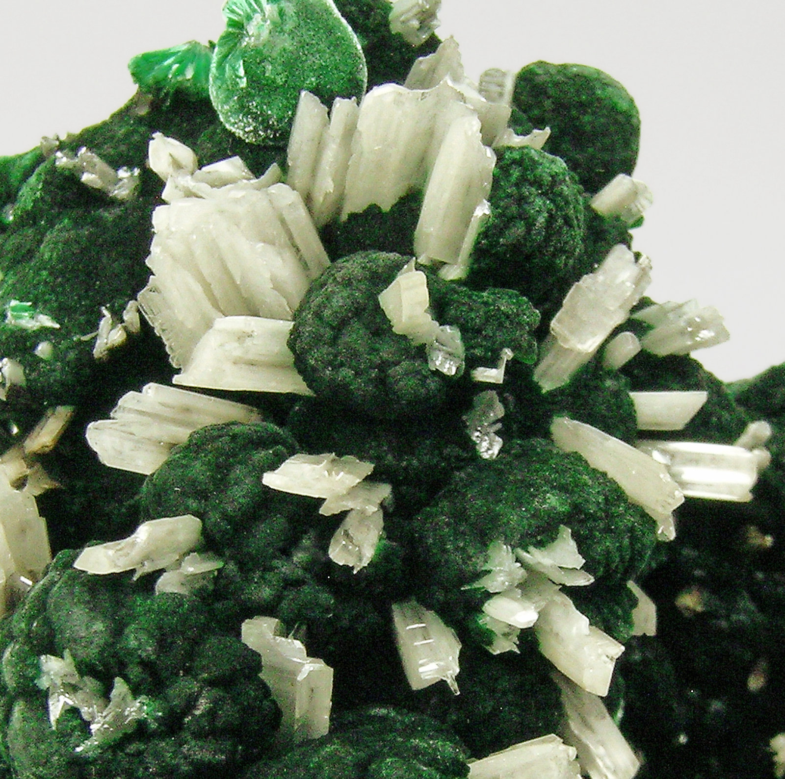 specimens/s_imagesQ7/Cerussite_Malachite-ER86Q7d.jpg