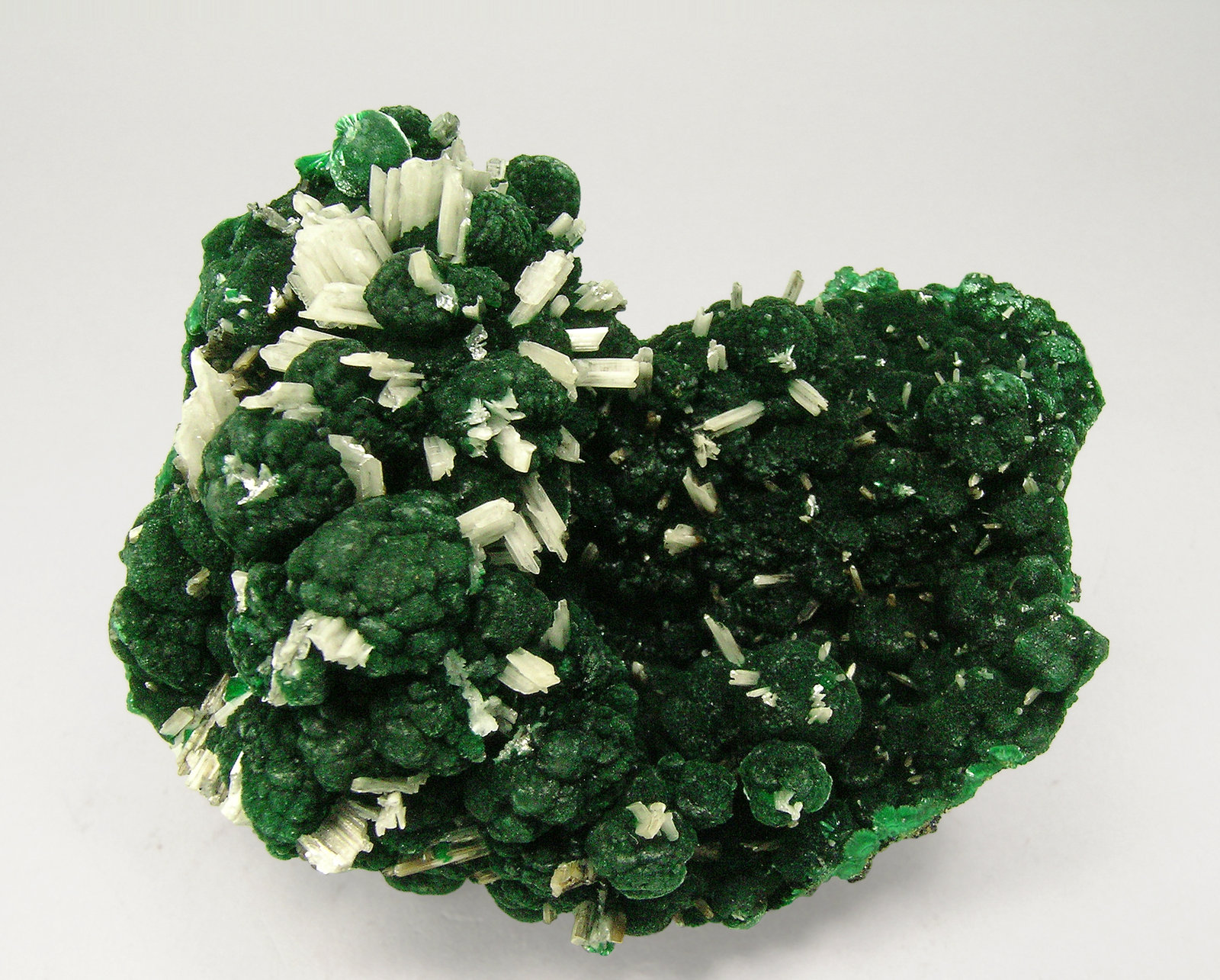 specimens/s_imagesQ7/Cerussite_Malachite-ER86Q7f.jpg