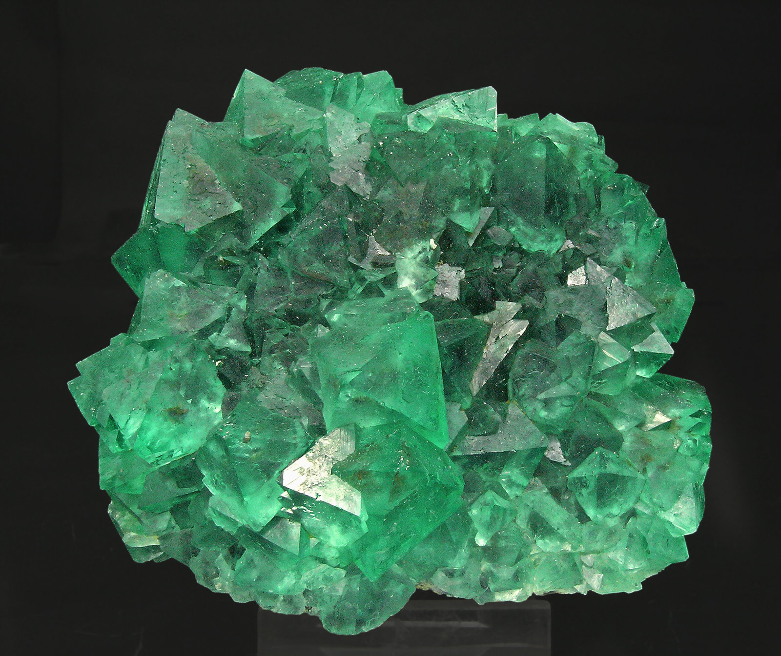 specimens/s_imagesQ7/Fluorite-EB68Q7f.jpg