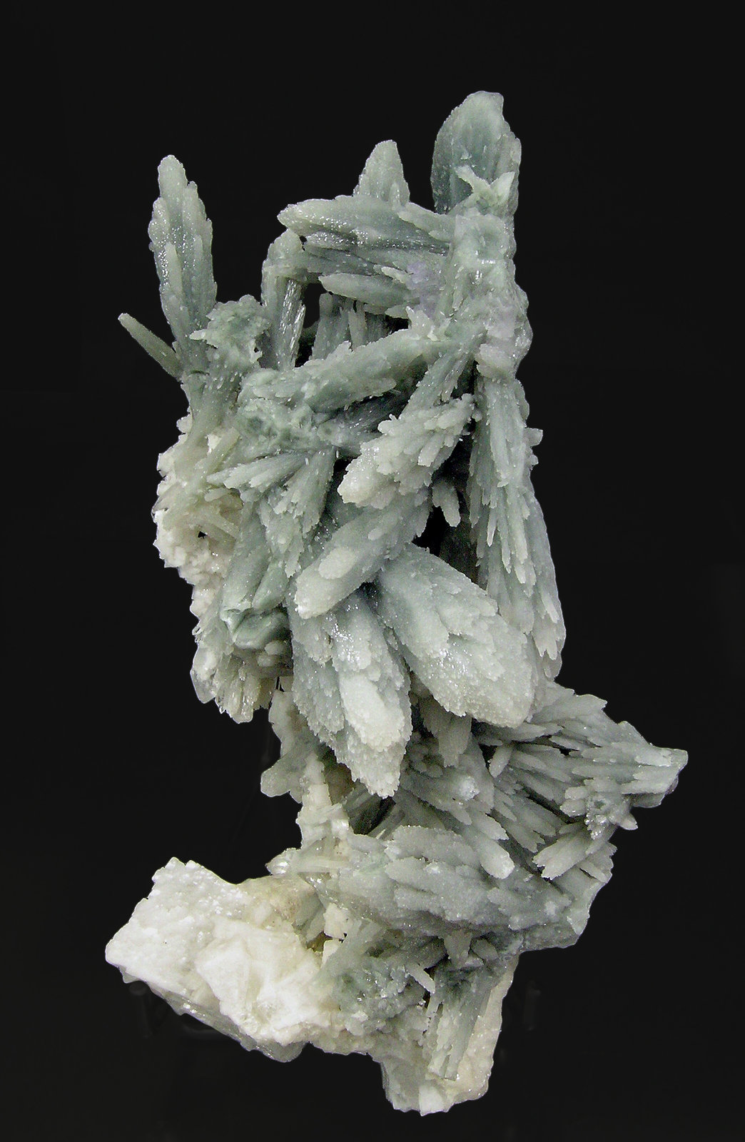 specimens/s_imagesQ7/Quartz-TF1Q7f.jpg