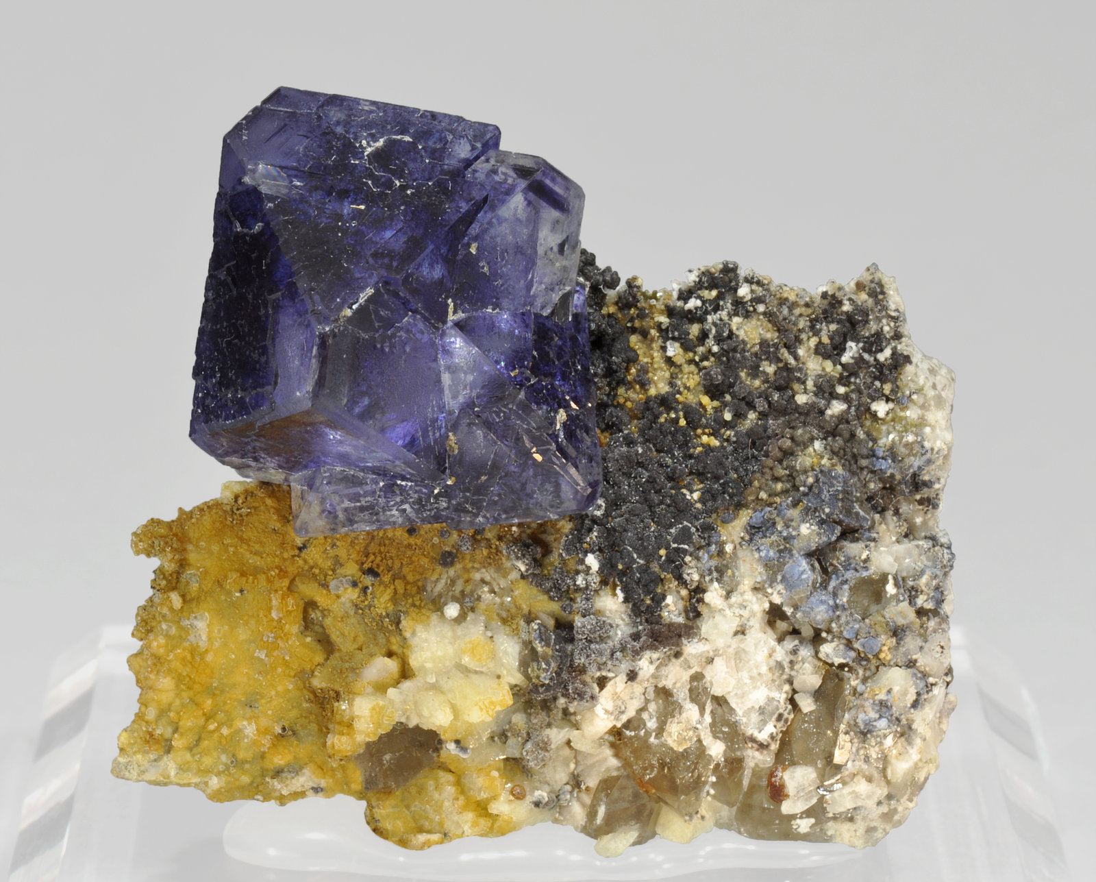 specimens/s_imagesQ8/Fluorite-TM98Q8f.jpg