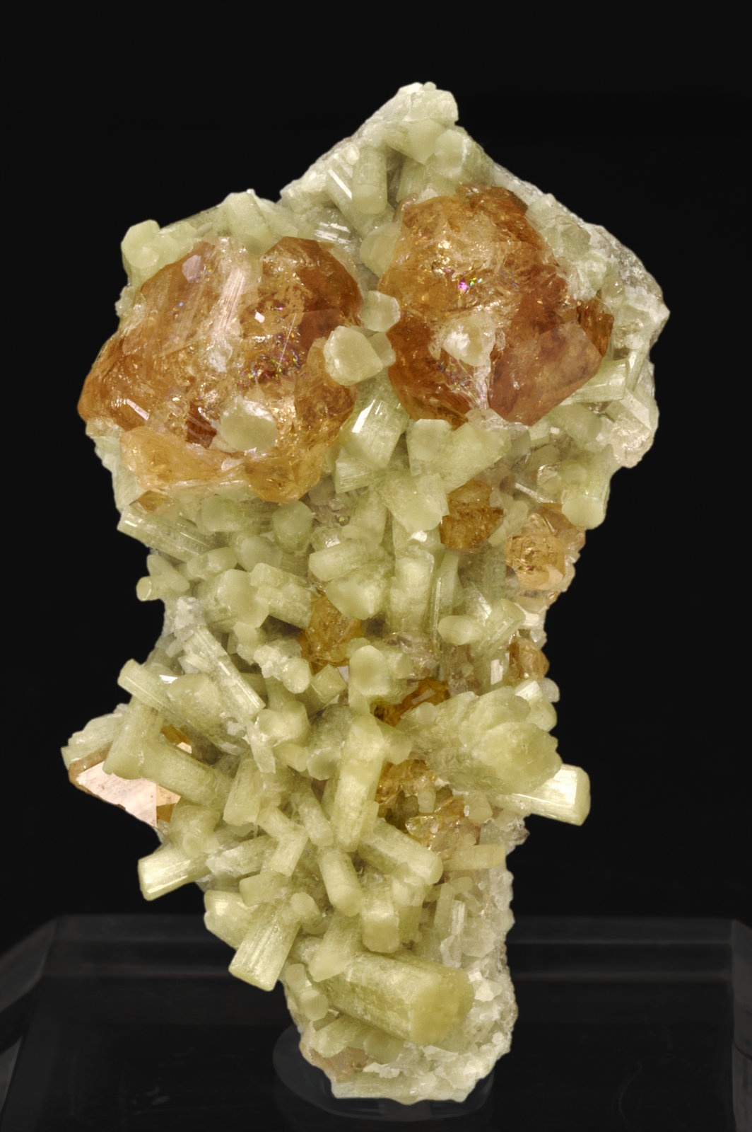 specimens/s_imagesQ8/Grossular-TJ27Q8.jpg