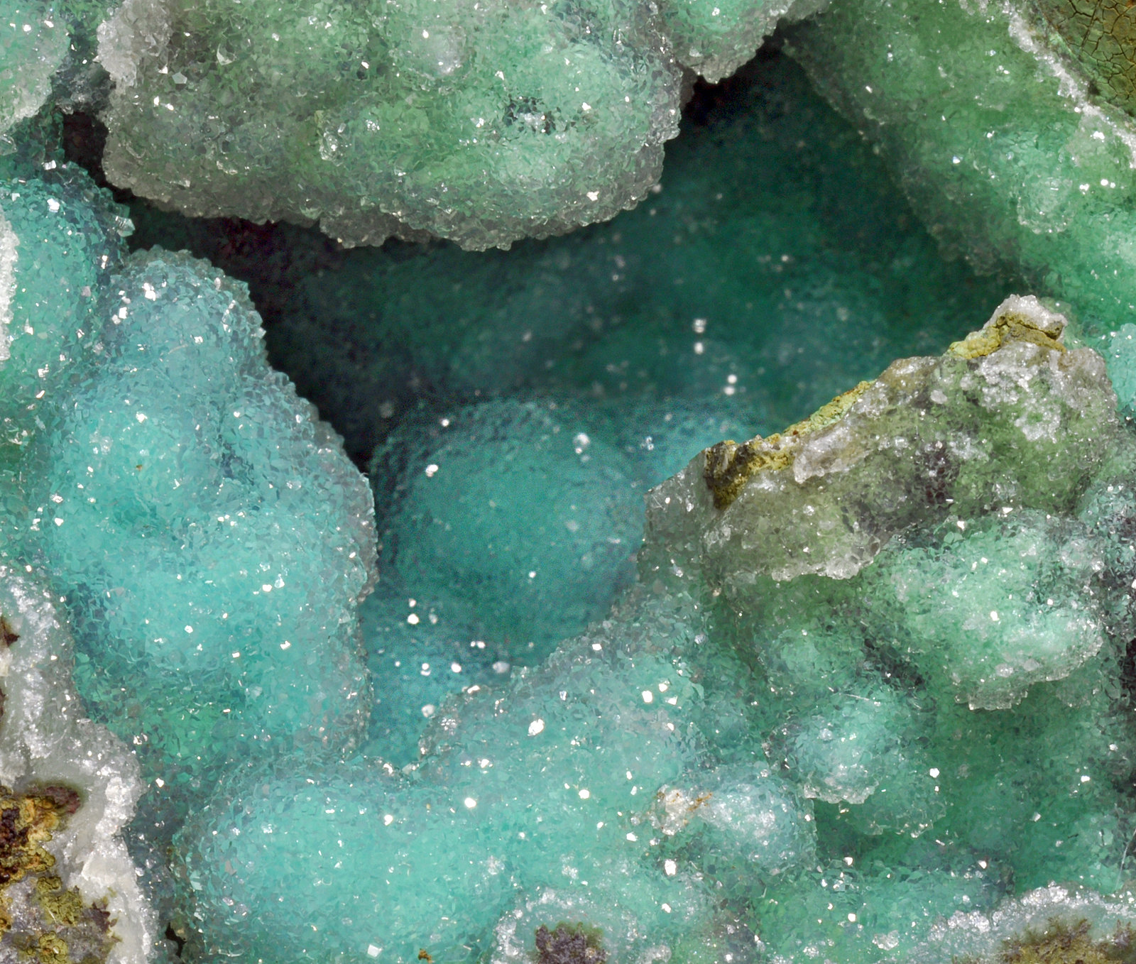 specimens/s_imagesR0/Chrysocolla-GA26R0d.jpg