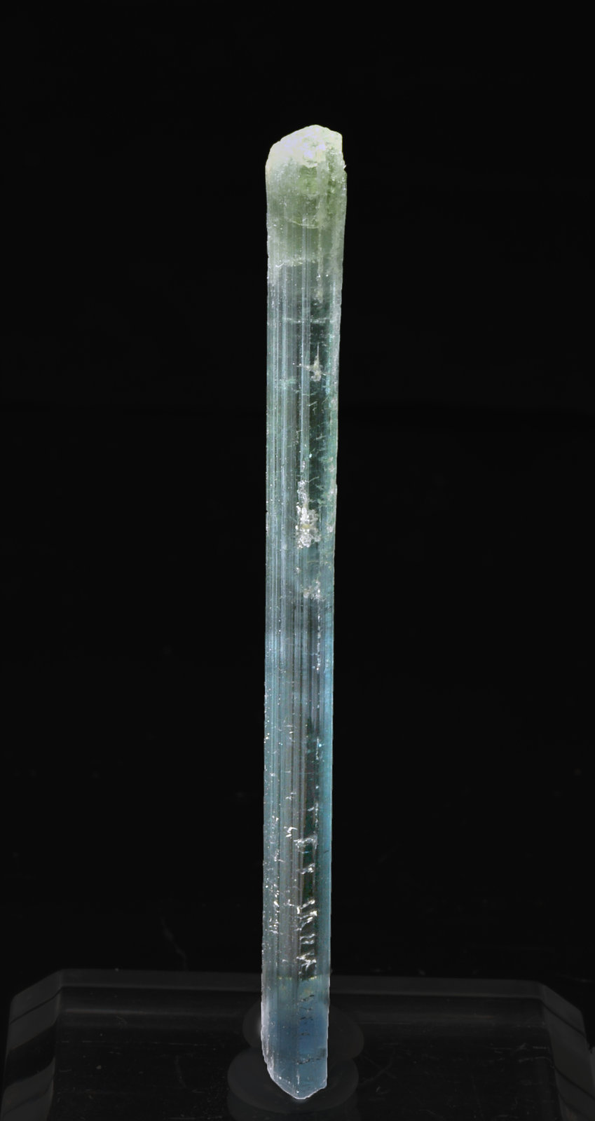 specimens/s_imagesR0/Elbaite-RQ56R0f.jpg