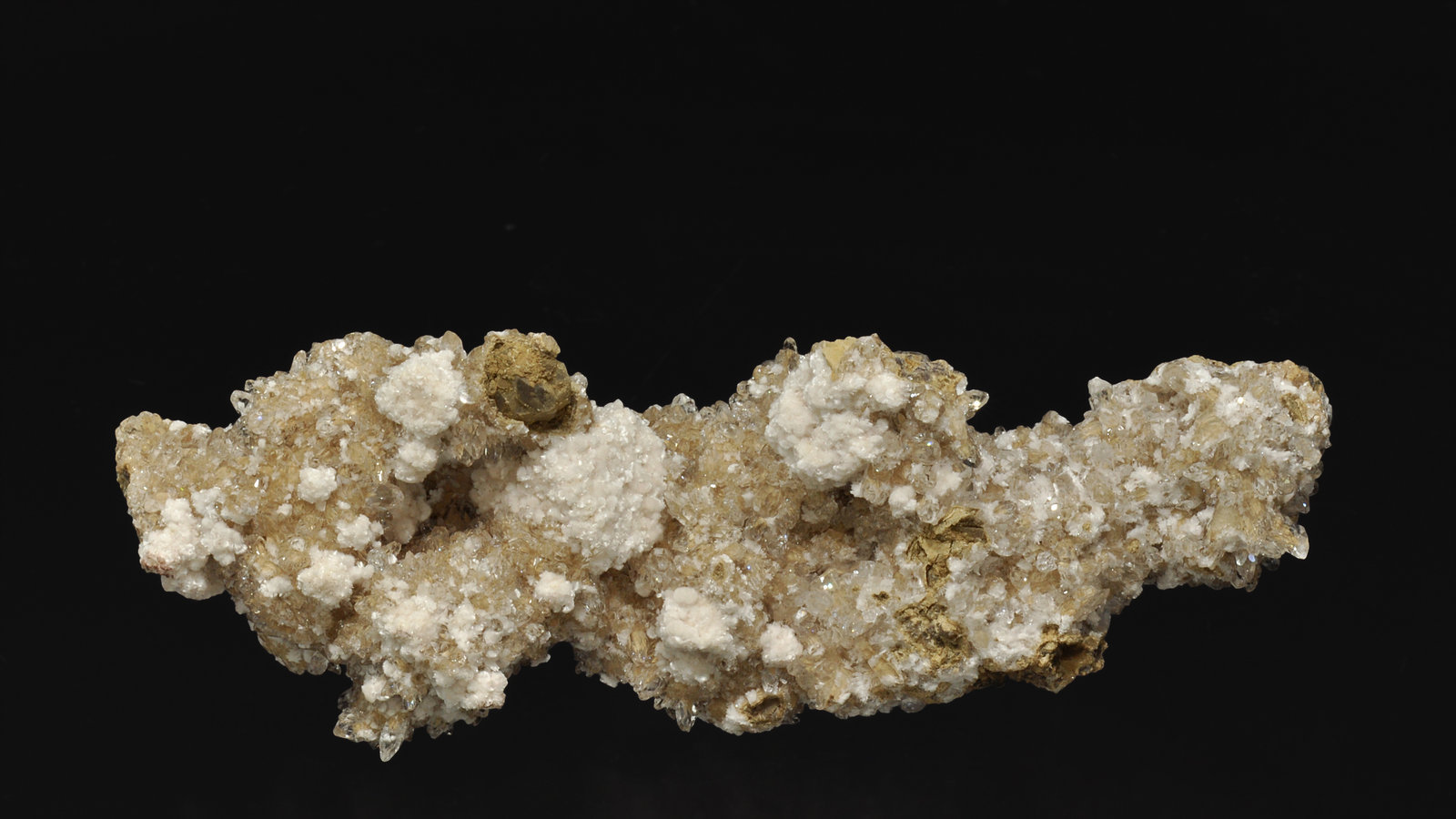 specimens/s_imagesR1/Oyelite-ED36R1f.jpg
