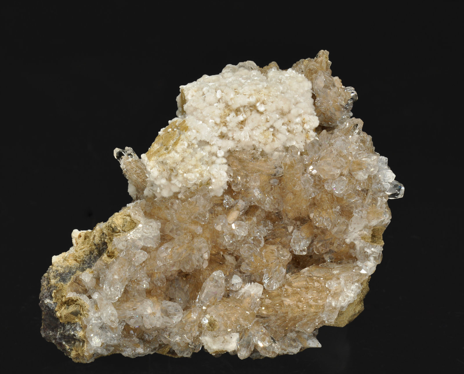 specimens/s_imagesR1/Oyelite-EK26R1.jpg