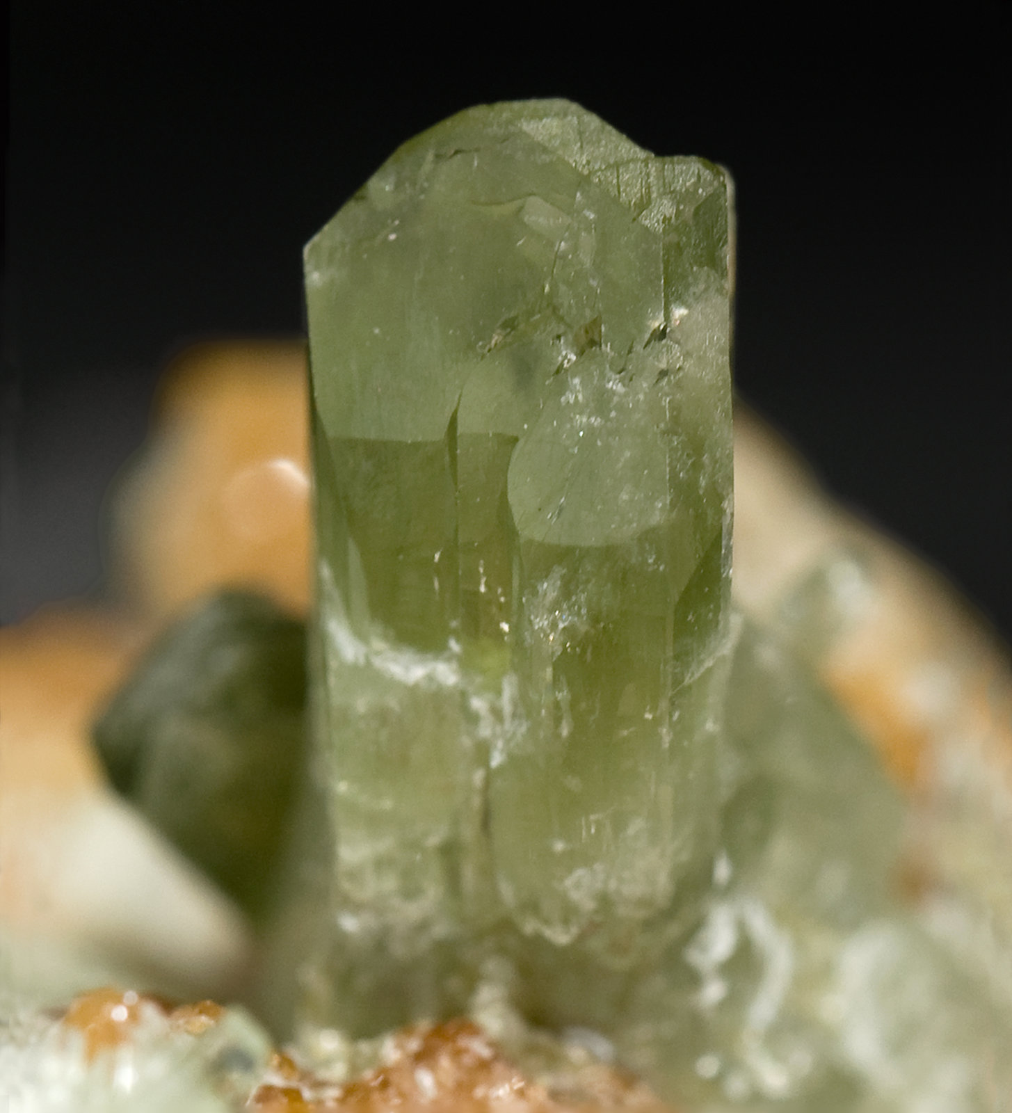 specimens/s_imagesR3/Diopside-EJ89R3d1.jpg