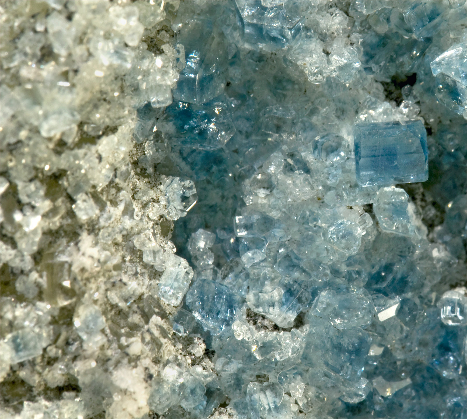 specimens/s_imagesR4/Fluorapatite-EC66R4d.jpg