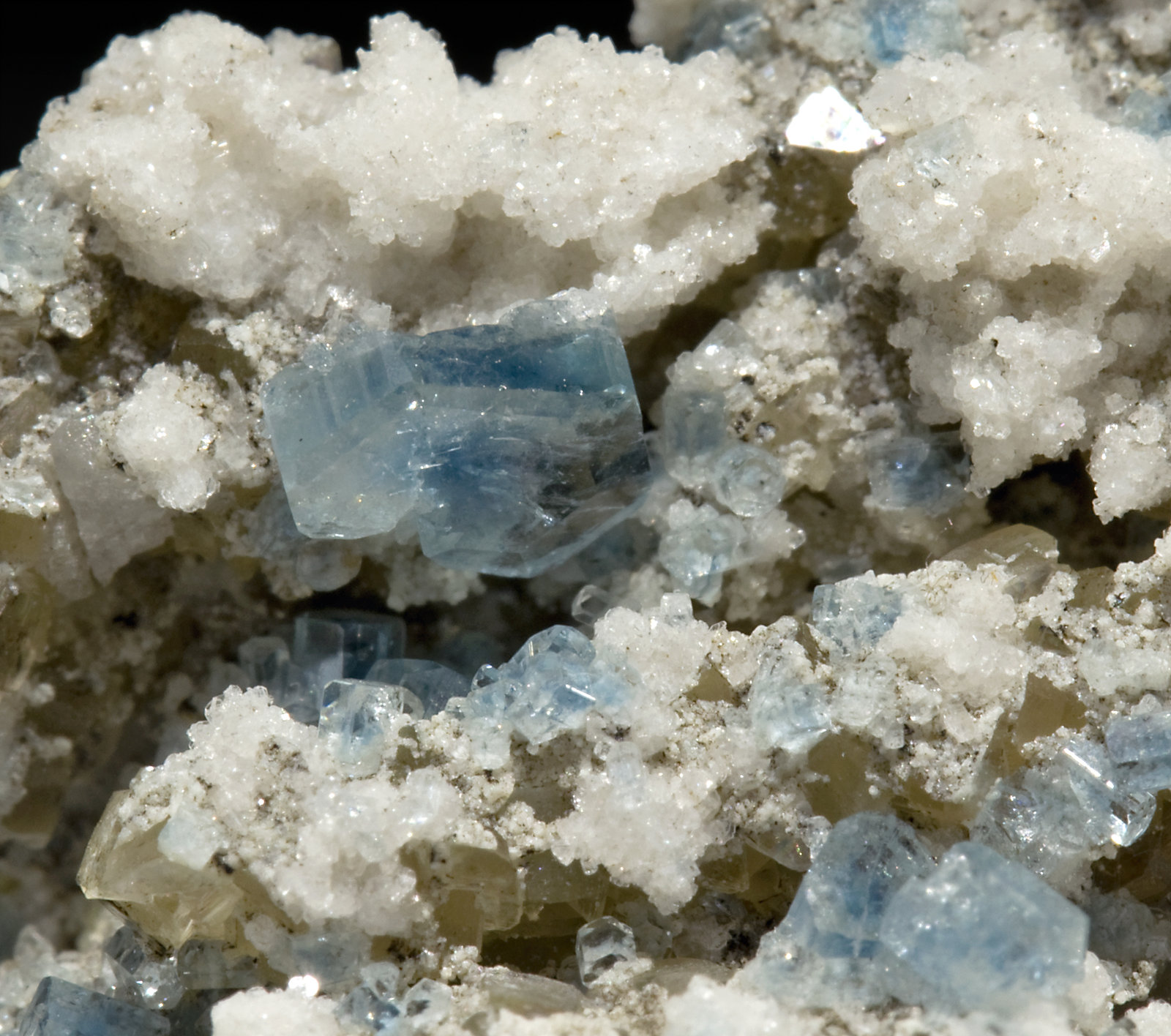 specimens/s_imagesR4/Fluorapatite-EF12R4d.jpg