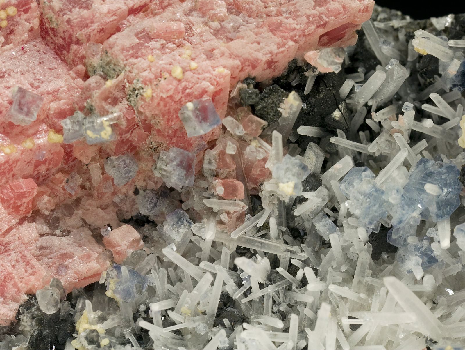 specimens/s_imagesR4/Rhodochrosite-KX99R4d2.jpg