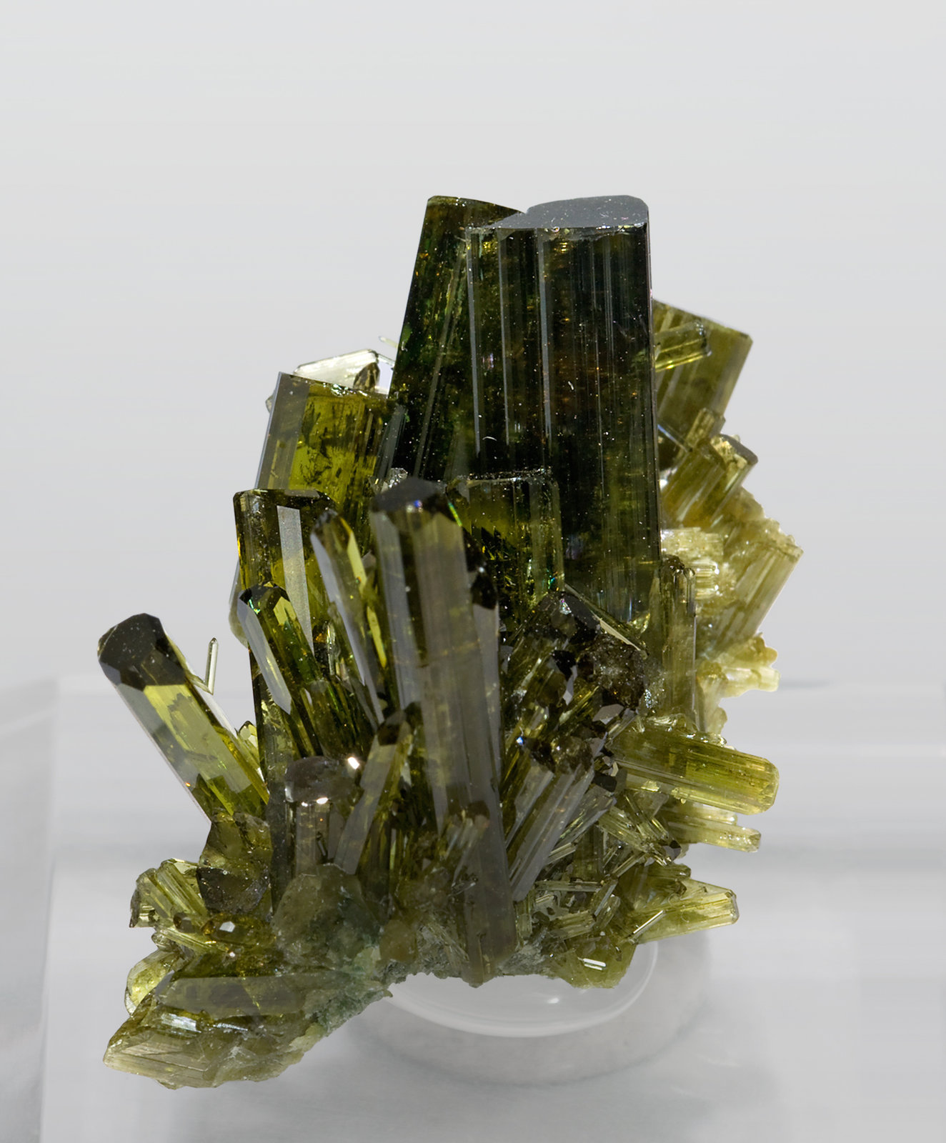 specimens/s_imagesR5/Vesuvianite-MC59R5f.jpg
