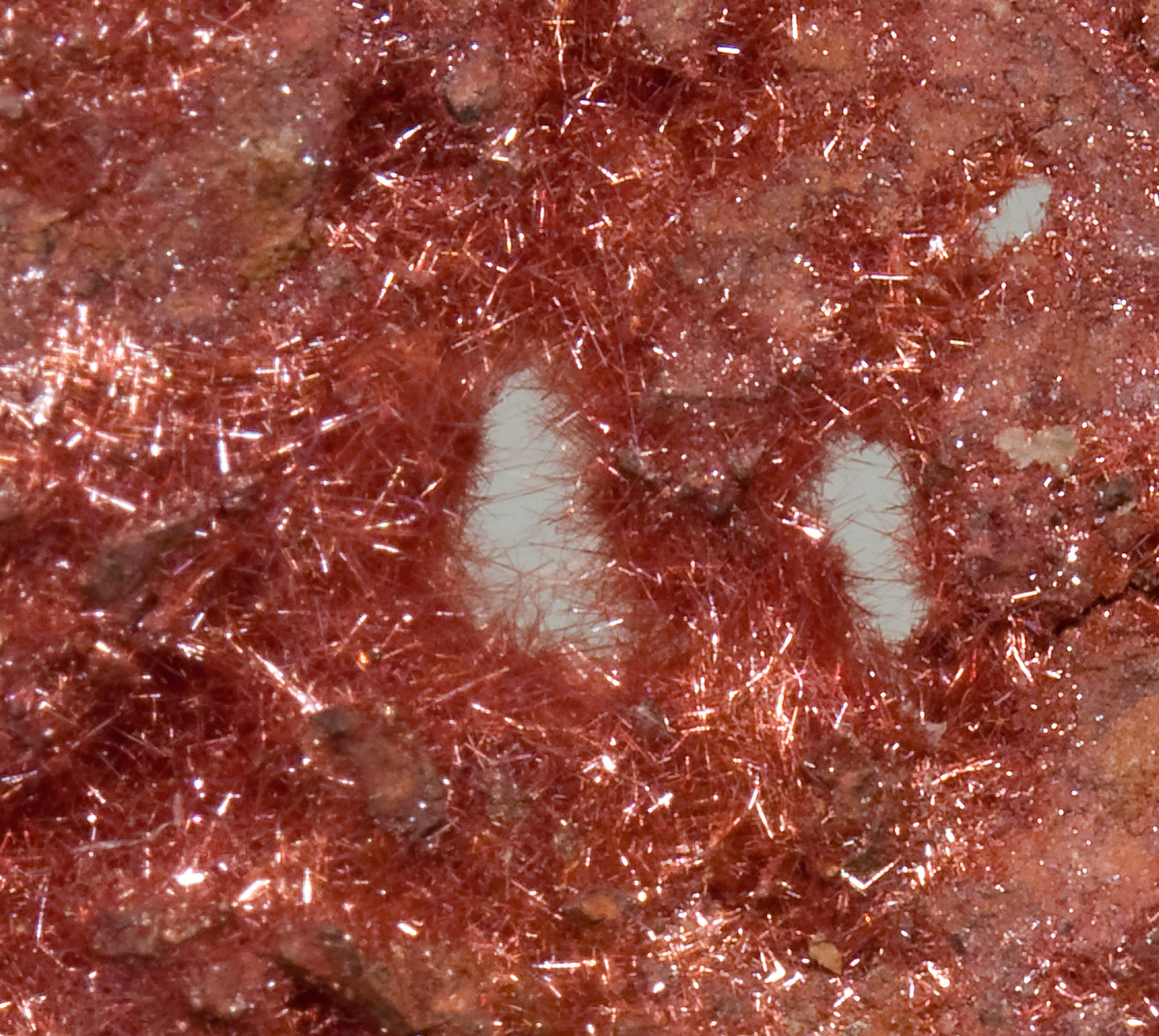 specimens/s_imagesR6/Cuprite_Chalcotrichite-RD47R6d.jpg
