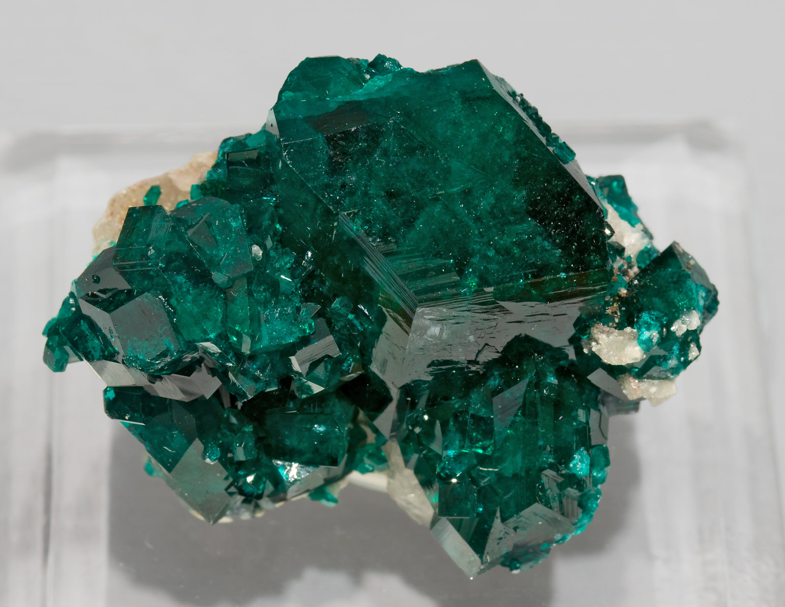 specimens/s_imagesR6/Dioptase-MK16R6t.jpg