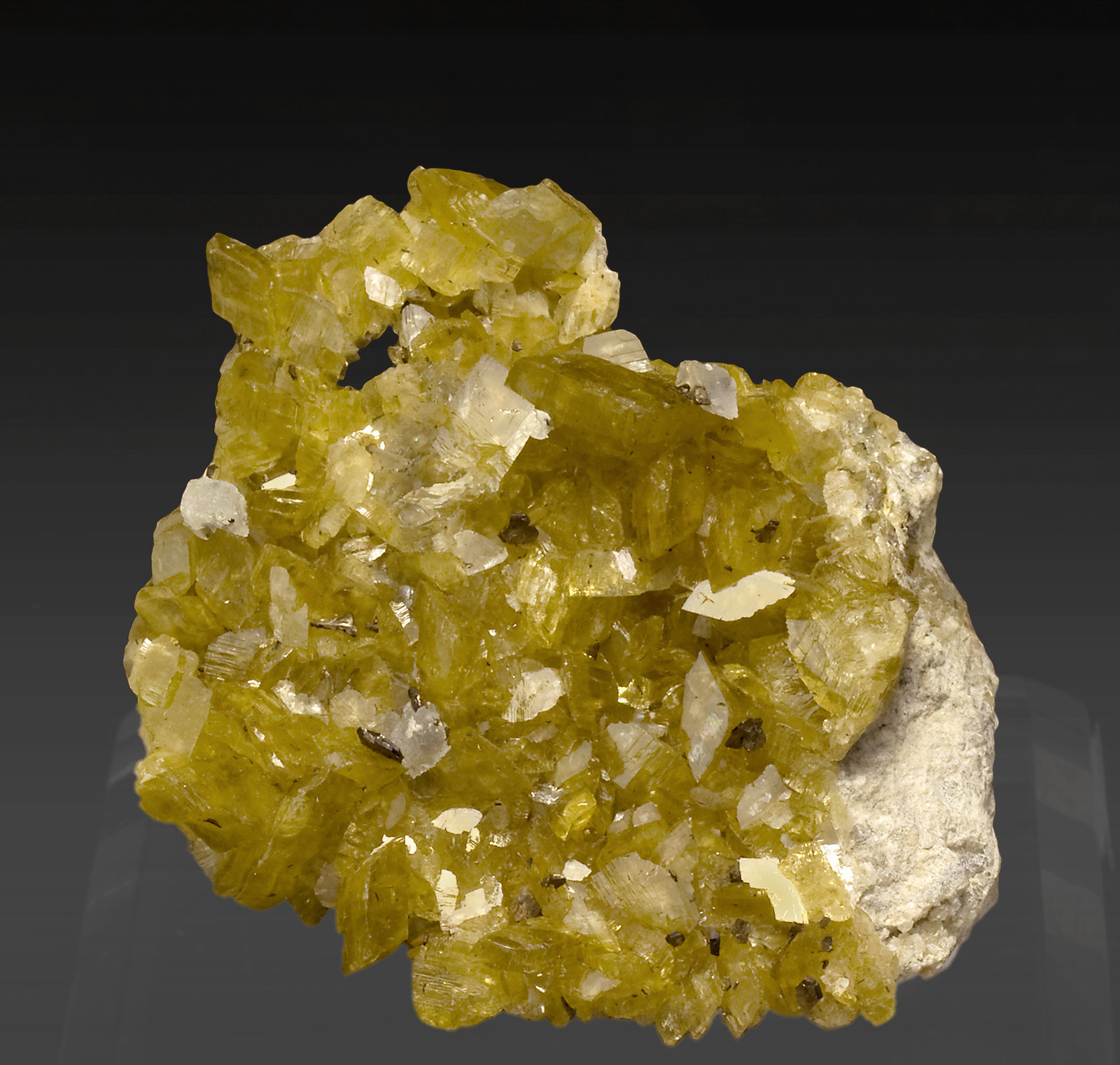 specimens/s_imagesR6/Siderite-GQ11R6f.jpg