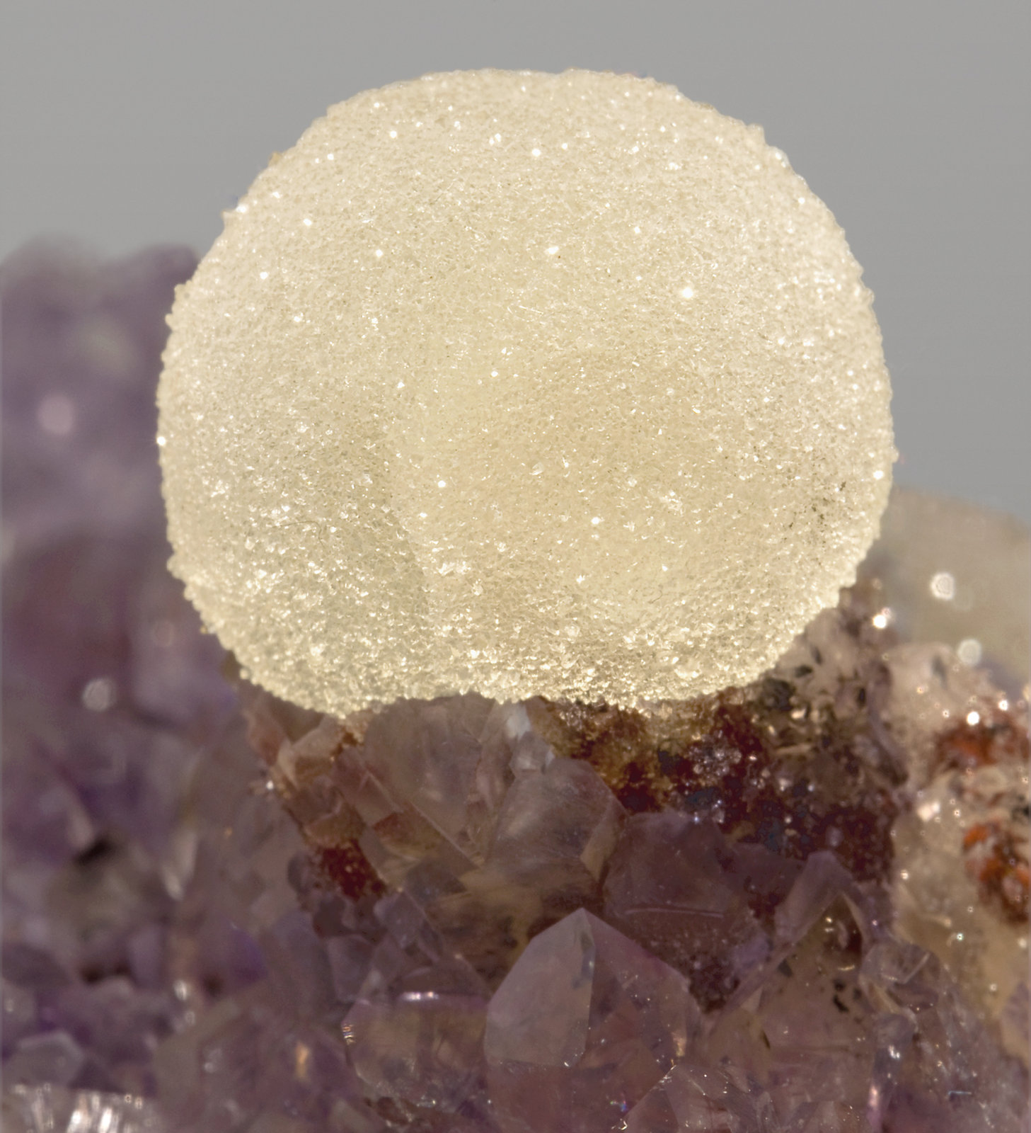 specimens/s_imagesR8/Quartz_Amethyst-MA10R8d1.jpg