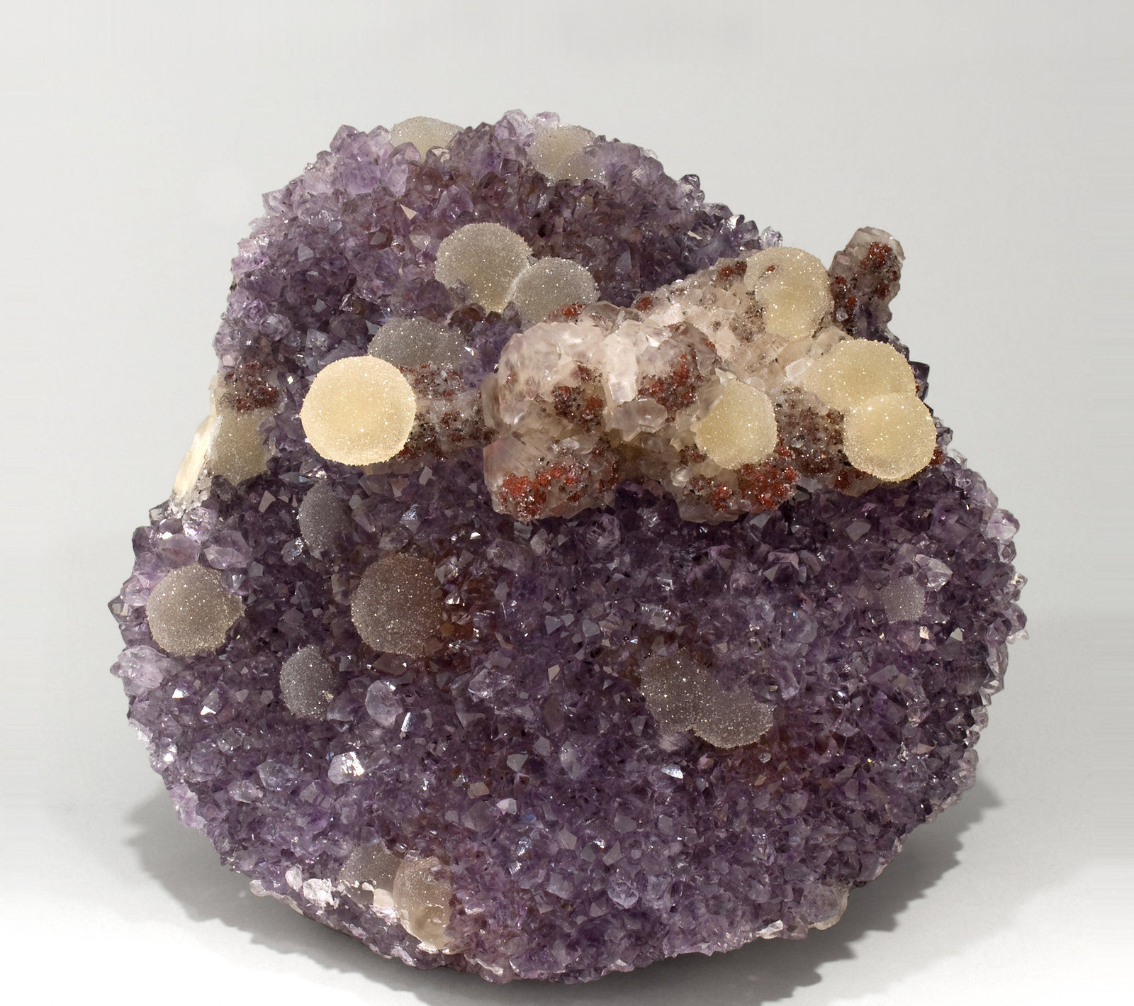 specimens/s_imagesR8/Quartz_Amethyst-MA10R8f.jpg