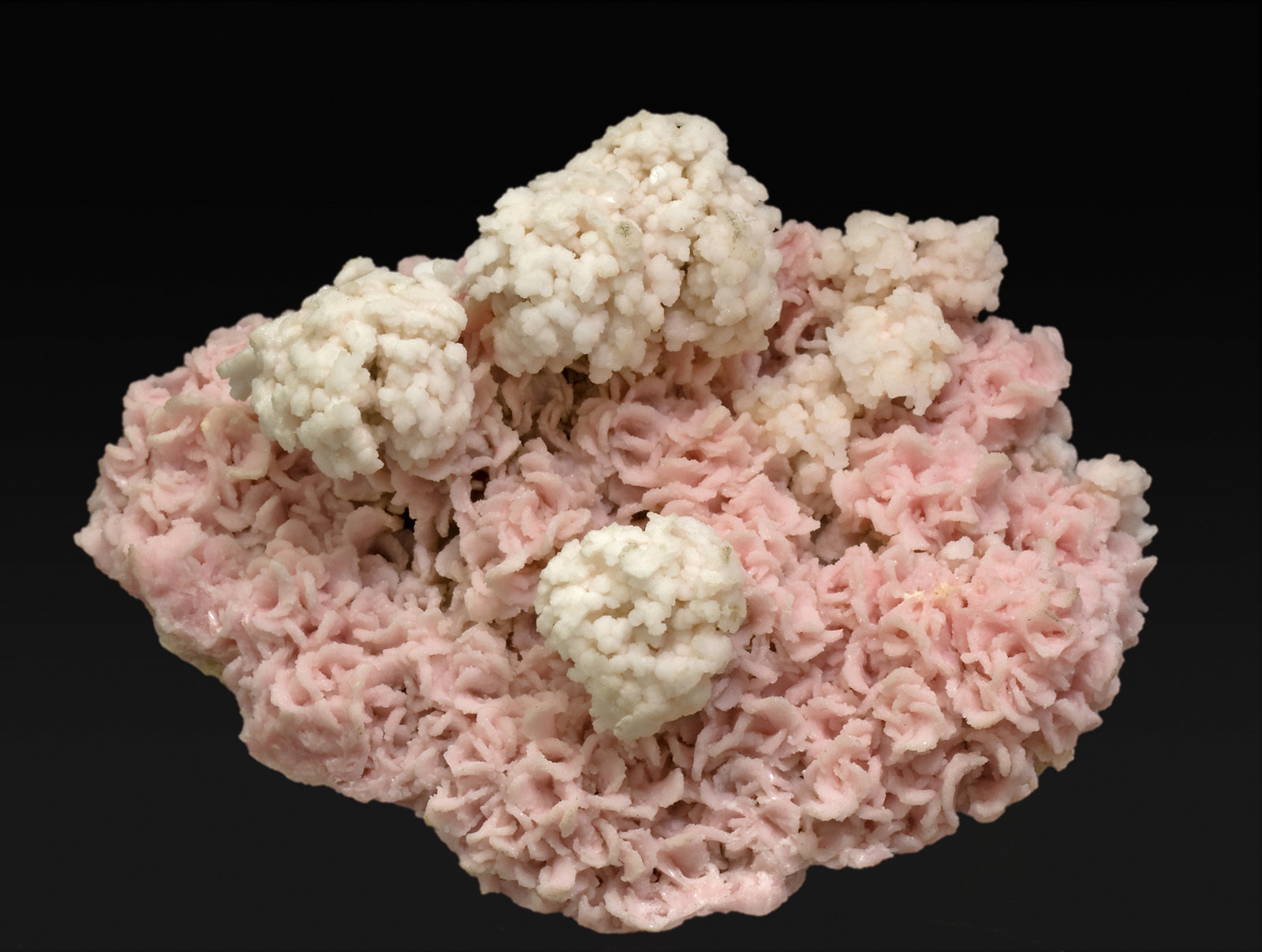 specimens/s_imagesR8/Rhodochrosite-MR86R8f.jpg