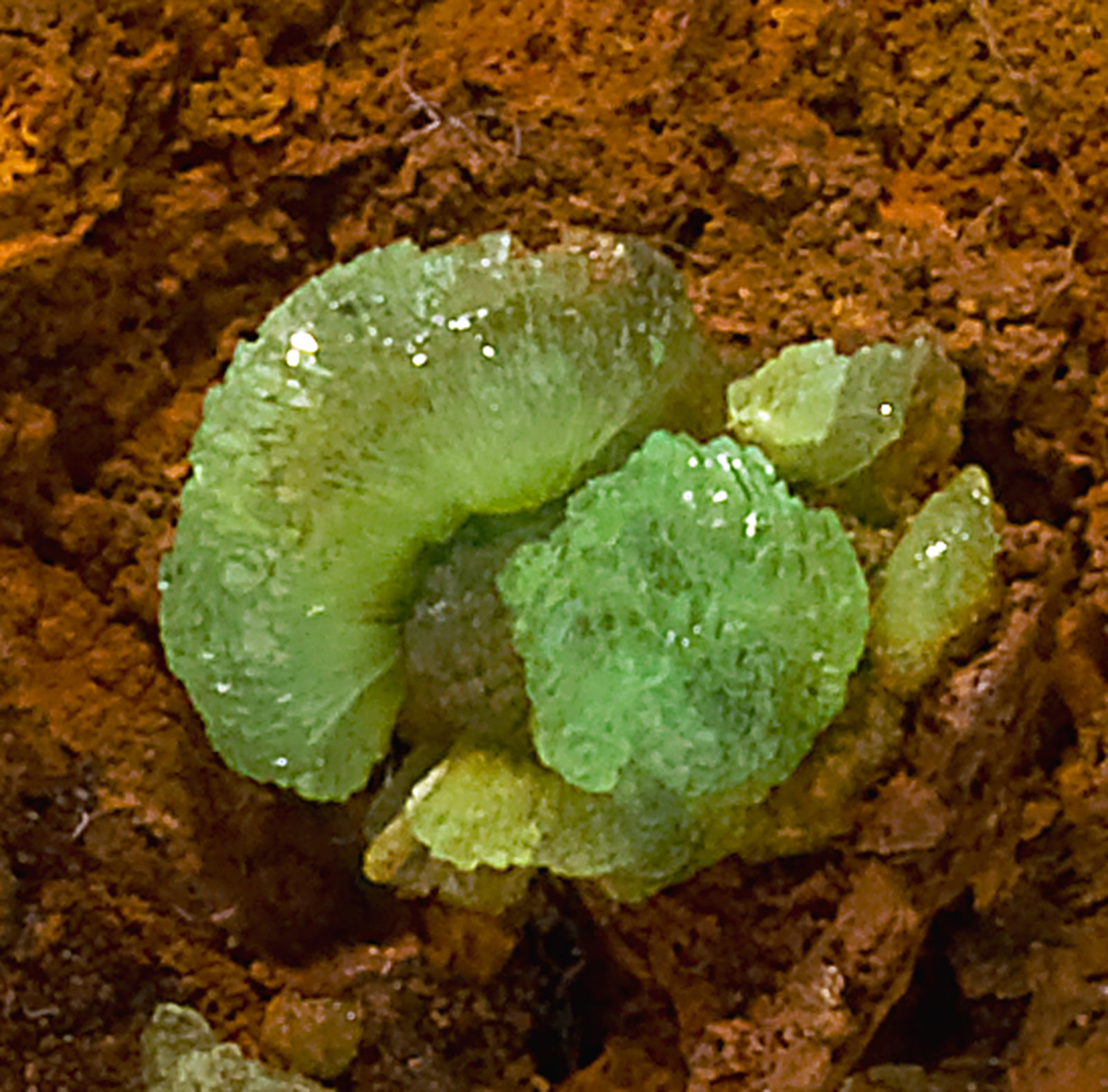 specimens/s_imagesR9/Adamite-MR63R9d.jpg