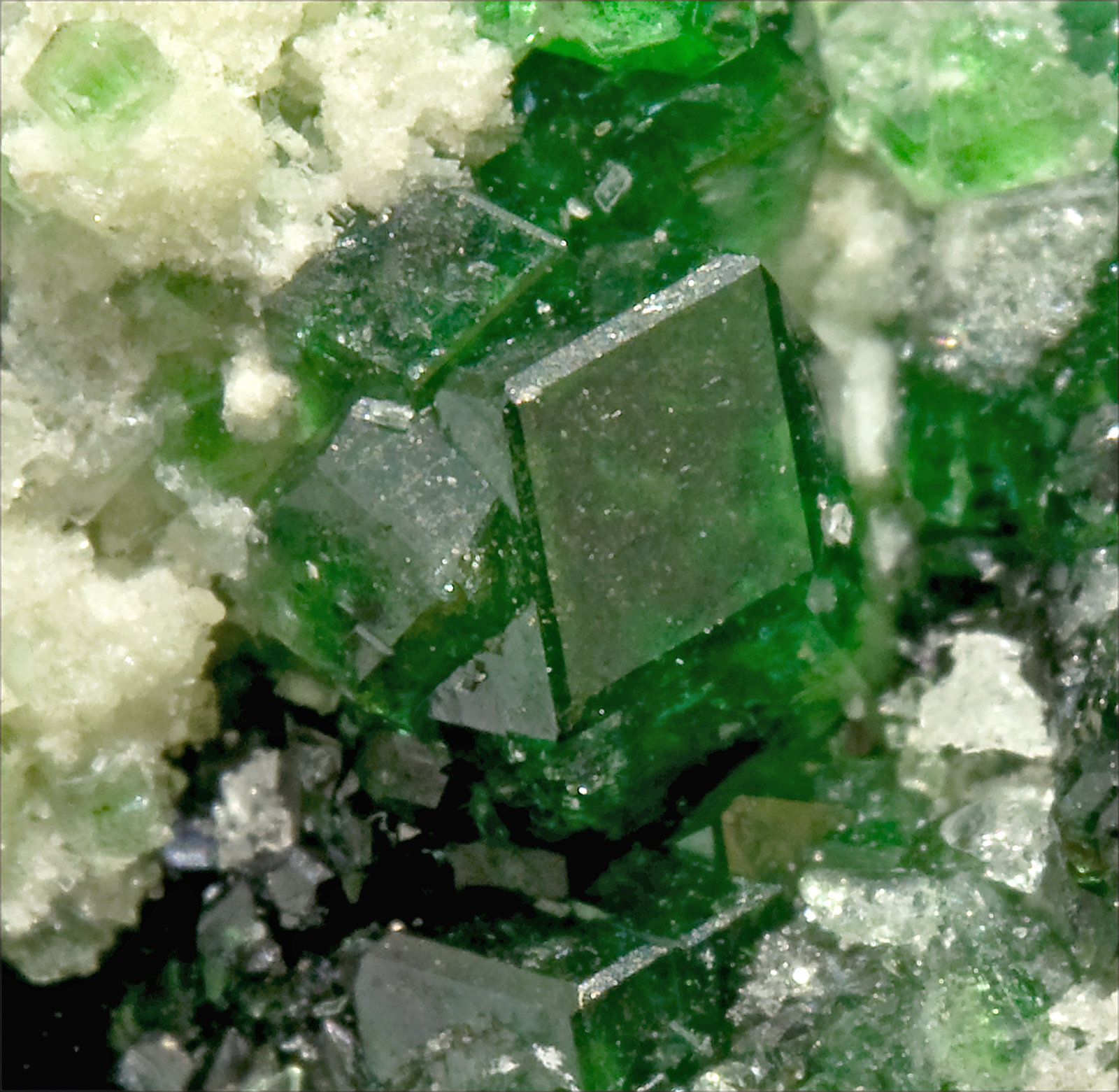 specimens/s_imagesR9/Andradite-TT96R9d.jpg