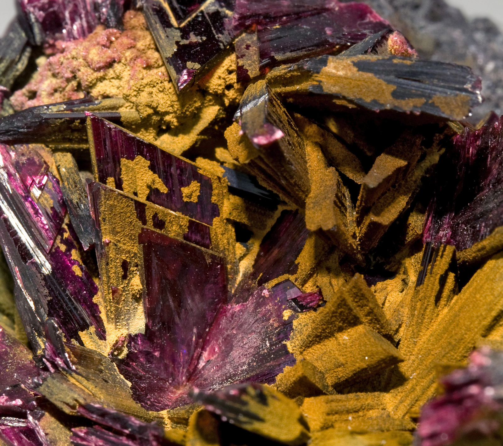specimens/s_imagesR9/Erythrite-EM76R9d.jpg