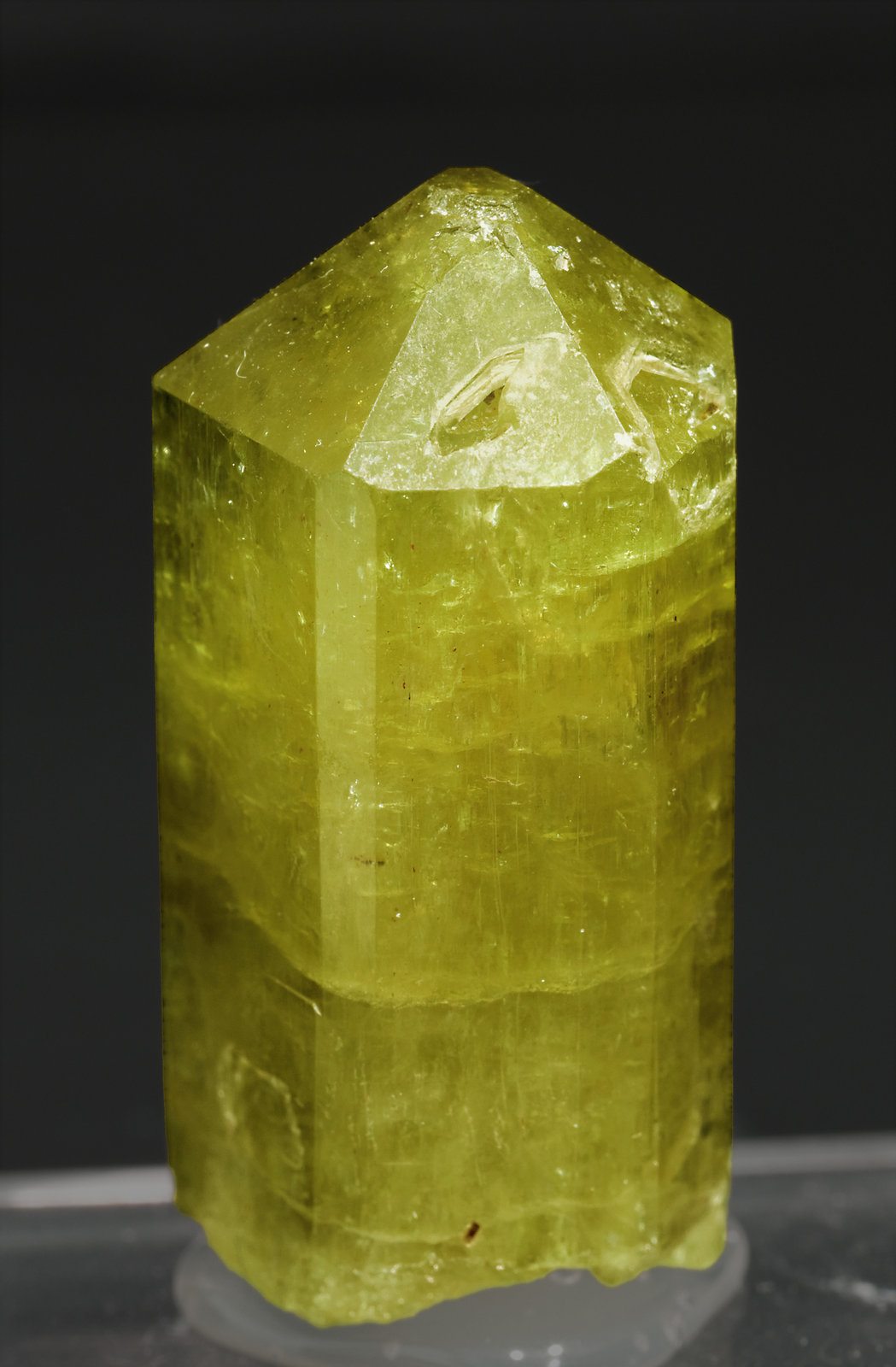 specimens/s_imagesR9/Fluorapatite-TR27R9r.jpg