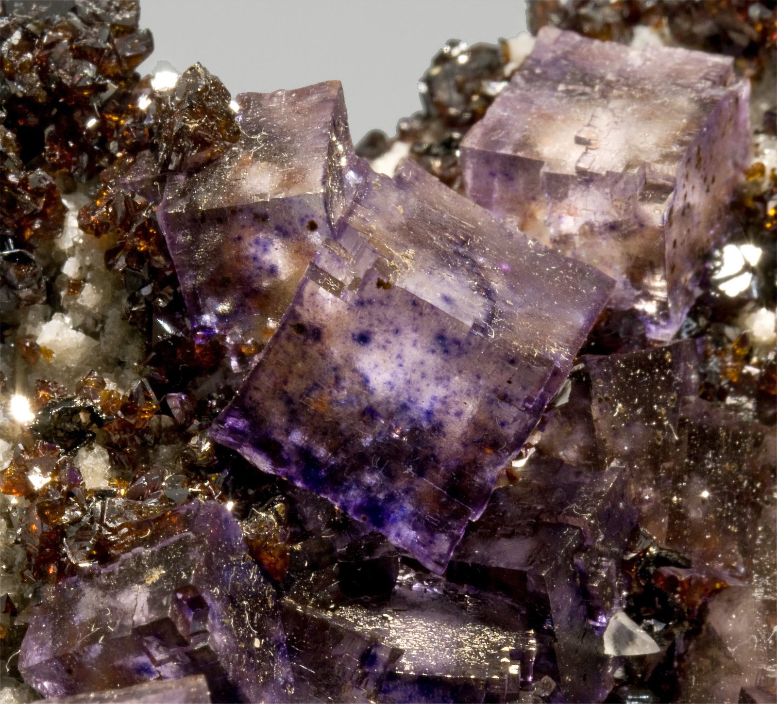 specimens/s_imagesR9/Fluorite-MA87R9d1.jpg