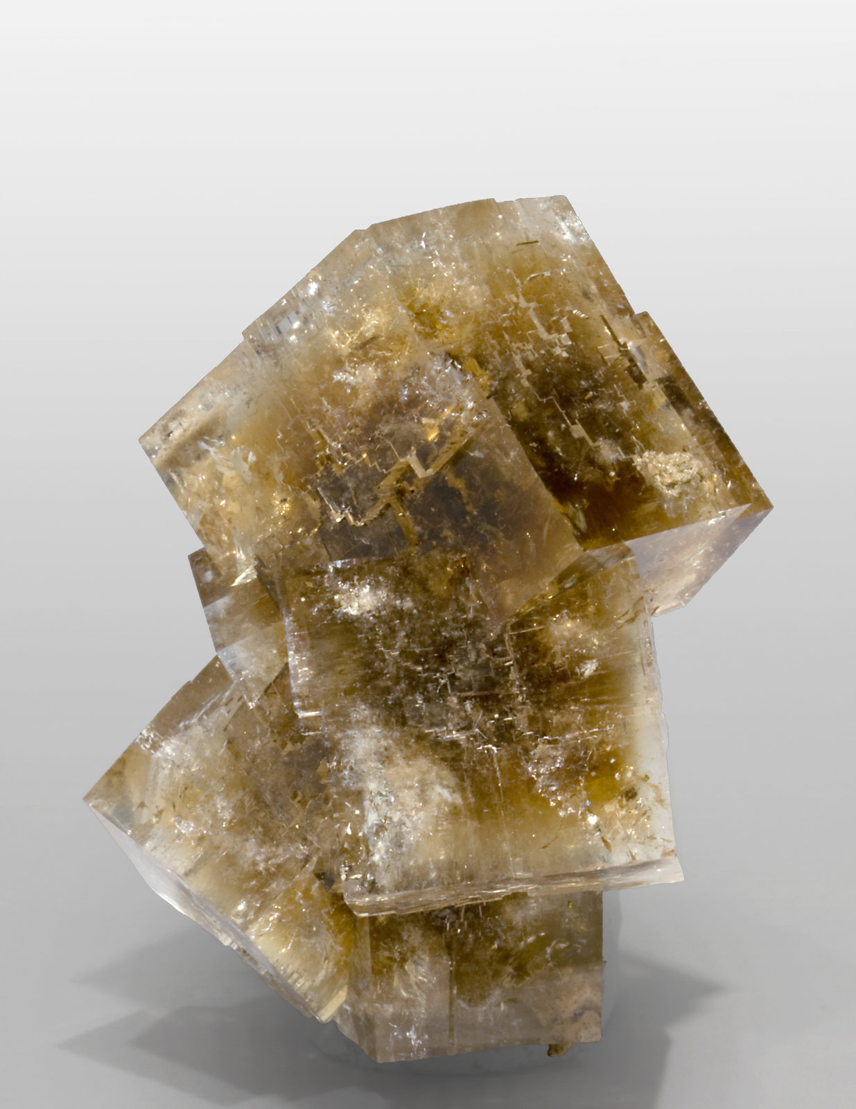 specimens/s_imagesR9/Fluorite-MB47R9s.jpg