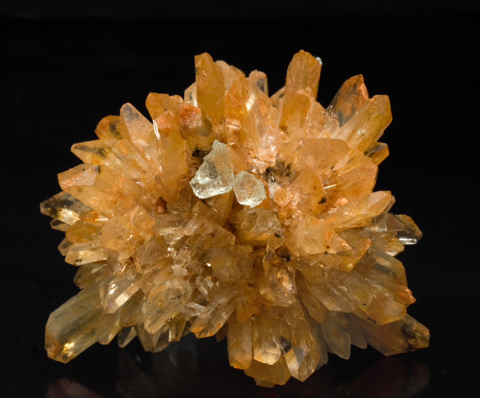 specimens/s_imagesR9/Fluorite-MC26R9f.jpg