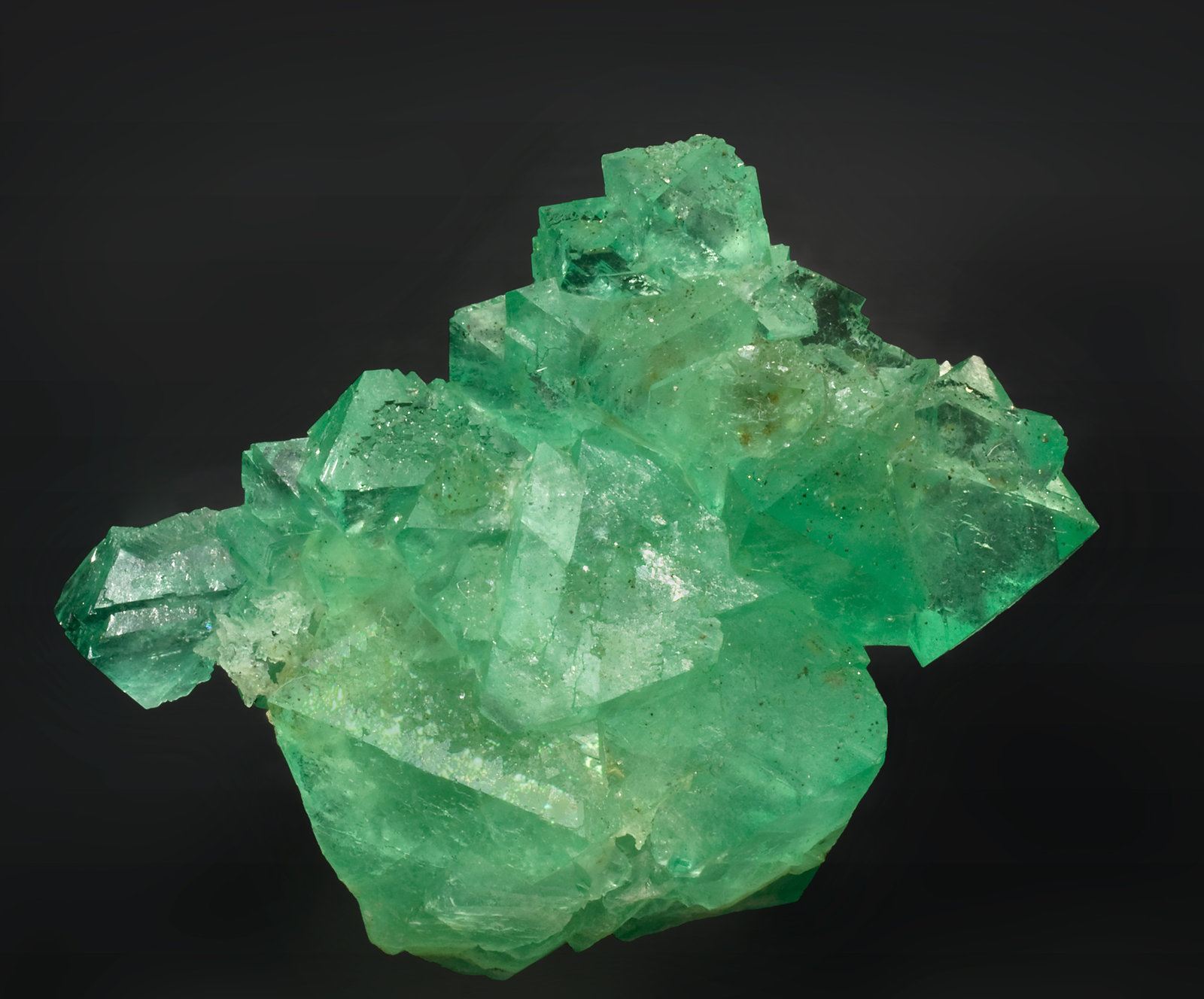 specimens/s_imagesR9/Fluorite-MG56R9f.jpg