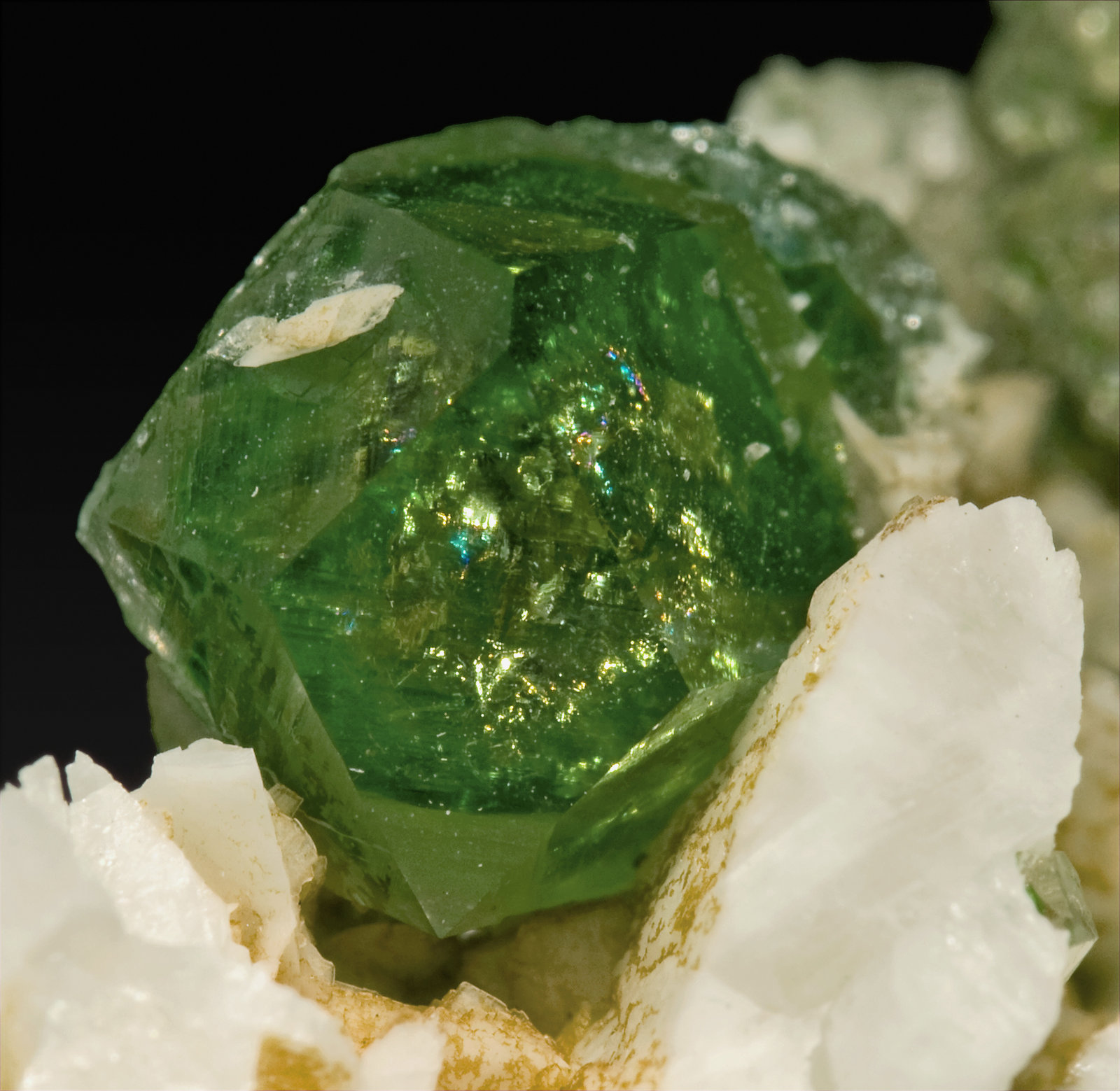 specimens/s_imagesR9/Grossular-TF26R9d.jpg
