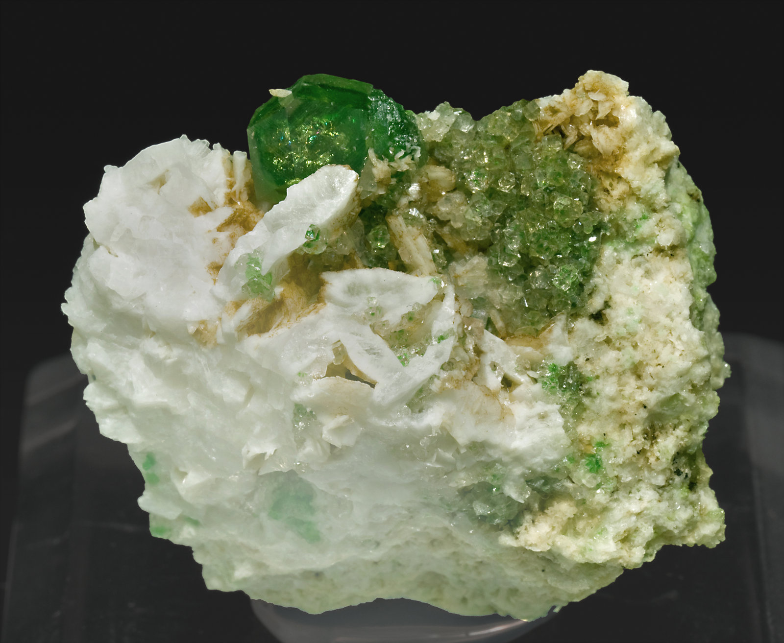 specimens/s_imagesR9/Grossular-TF26R9f.jpg