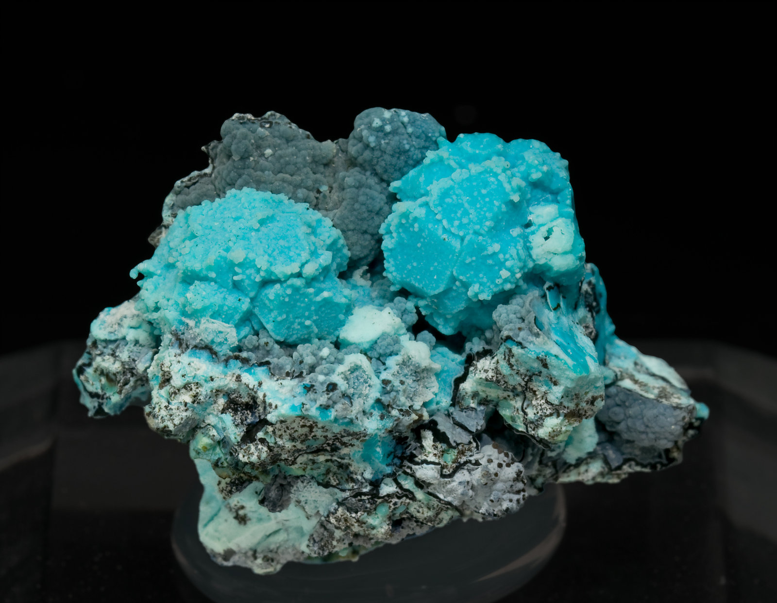 specimens/s_imagesS0/Chrysocolla_after_Boleite-TF13S0.jpg