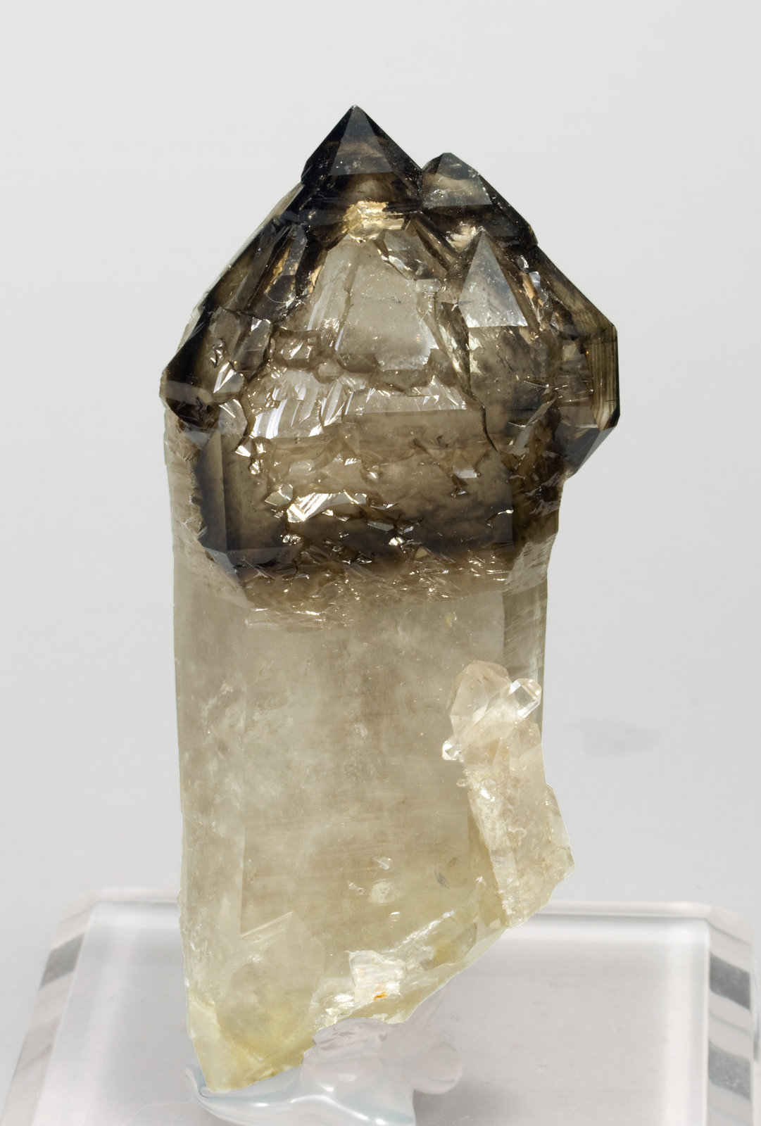 specimens/s_imagesS0/Quartz-TE28S0f.jpg
