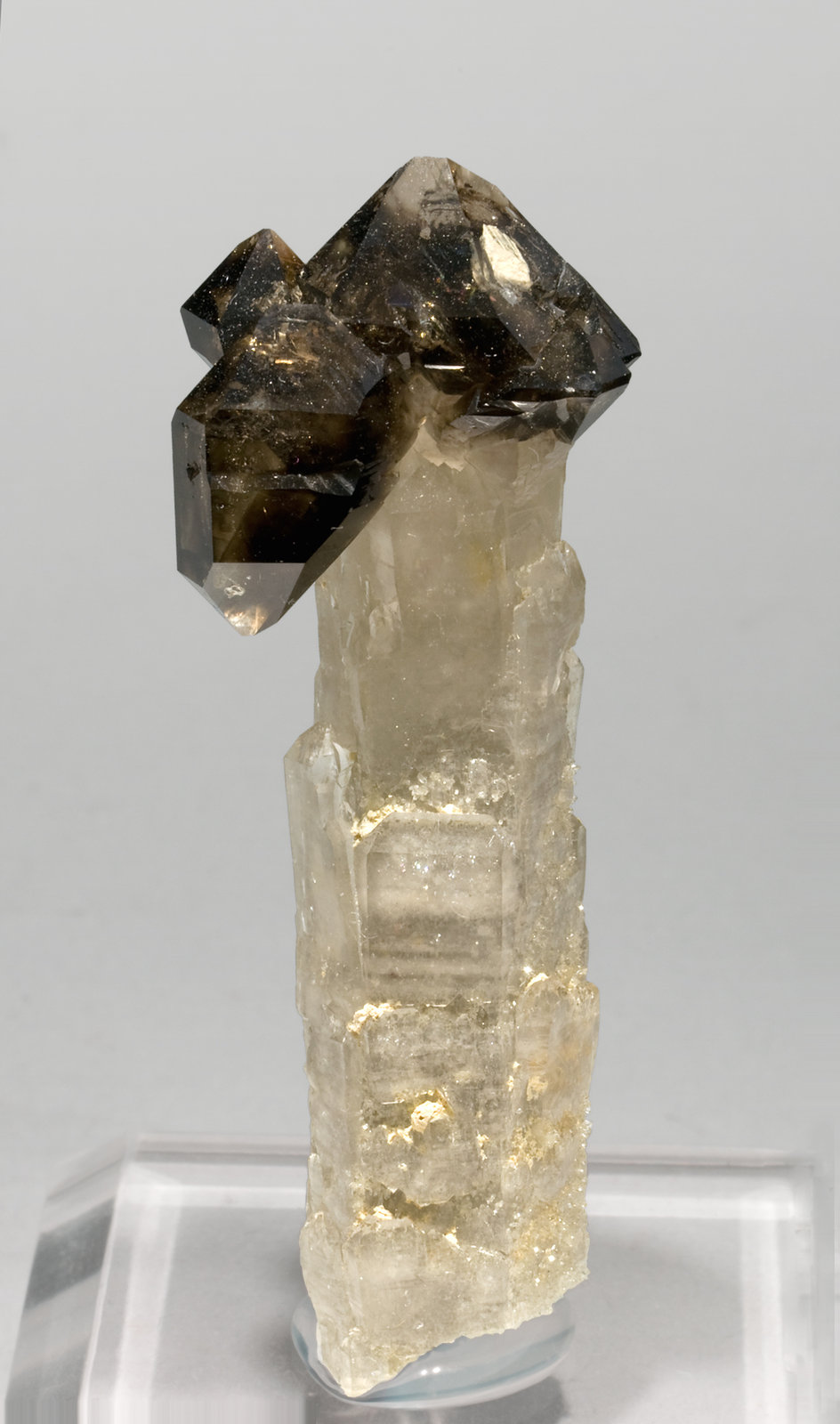 specimens/s_imagesS0/Quartz-TR17S0f.jpg