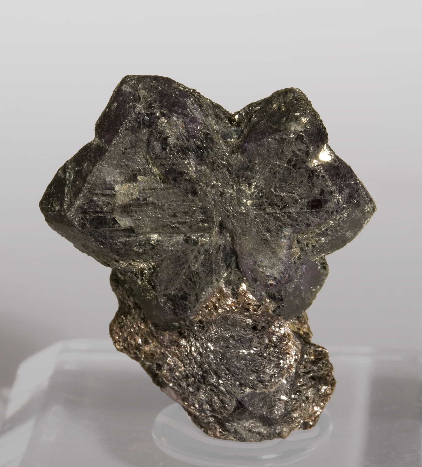 specimens/s_imagesS1/Chrysobeyl_Alexandrite-TH90S1f_tungsm.jpg