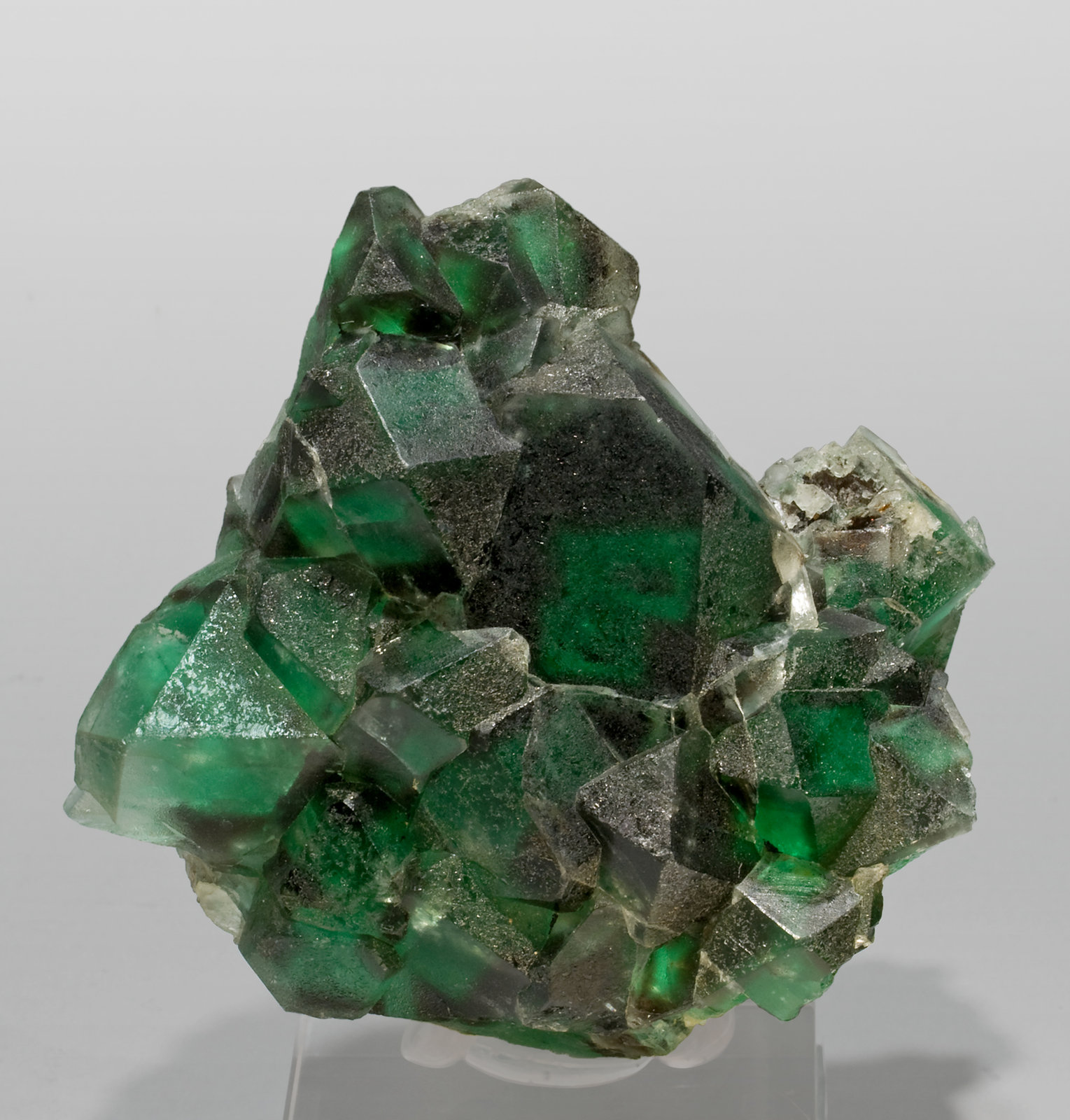specimens/s_imagesS1/Fluorite-MB27S1.jpg