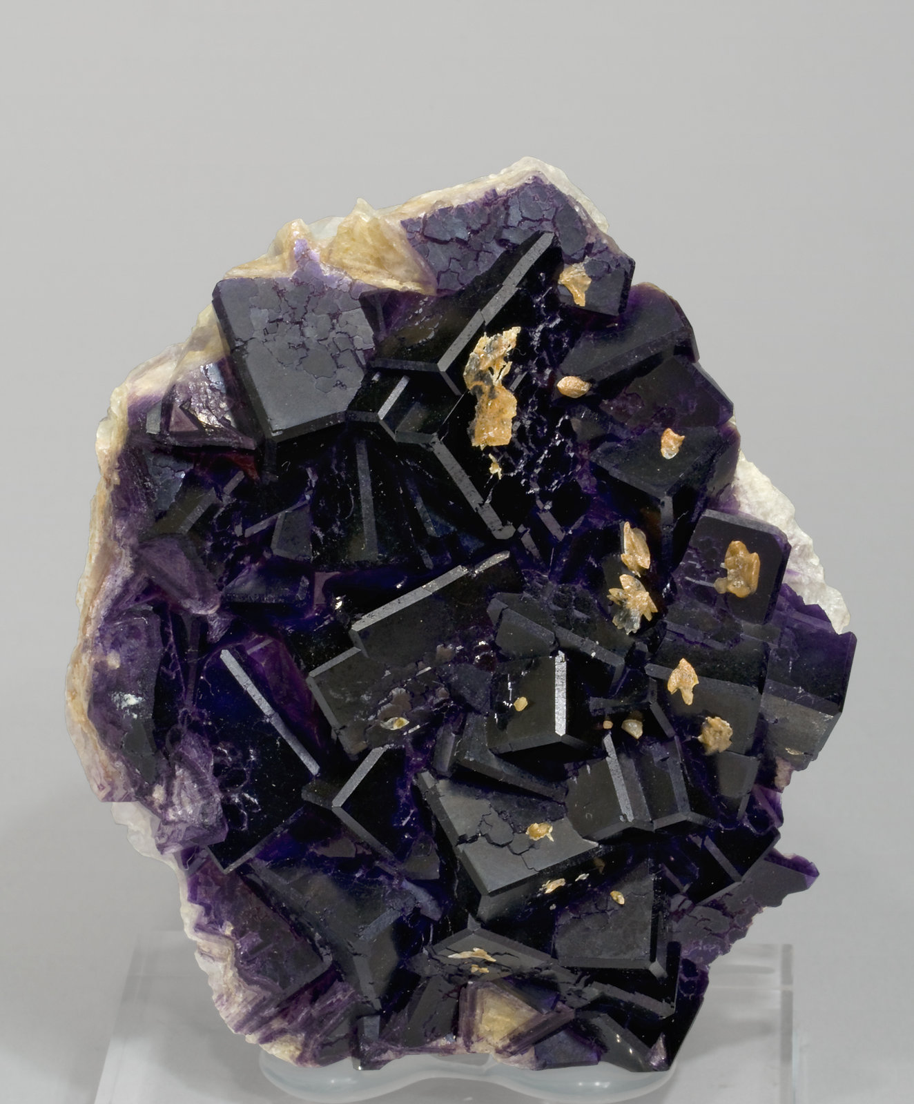 specimens/s_imagesS1/Fluorite-MP68S1.jpg