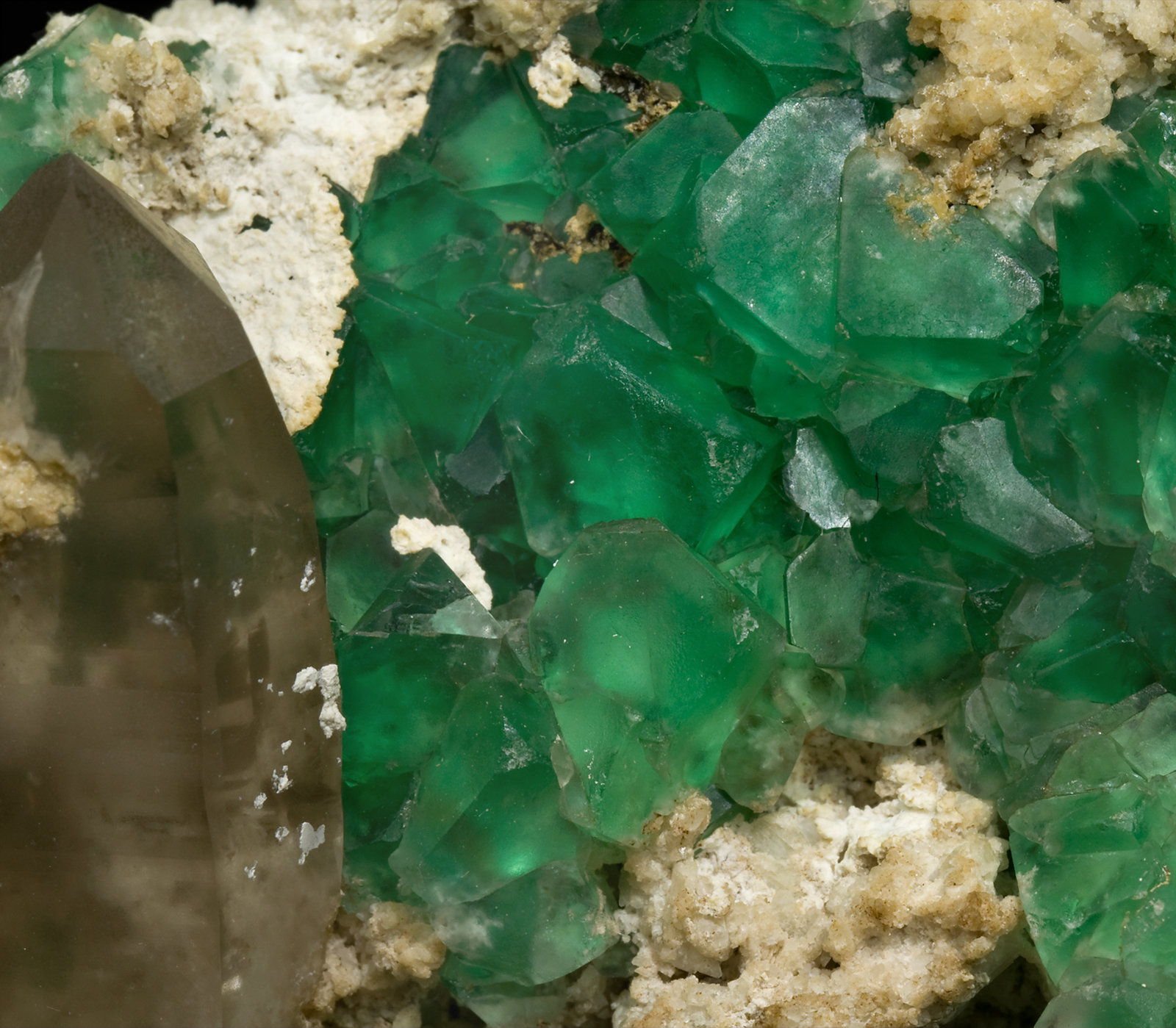 specimens/s_imagesS1/Fluorite-MX97S1d.jpg