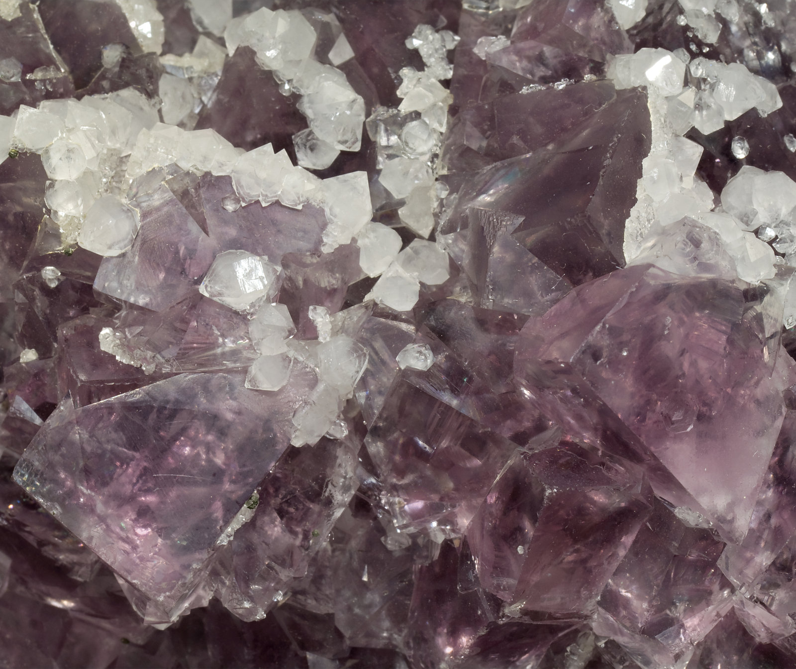 specimens/s_imagesS1/Fluorite-MY26S1d.jpg