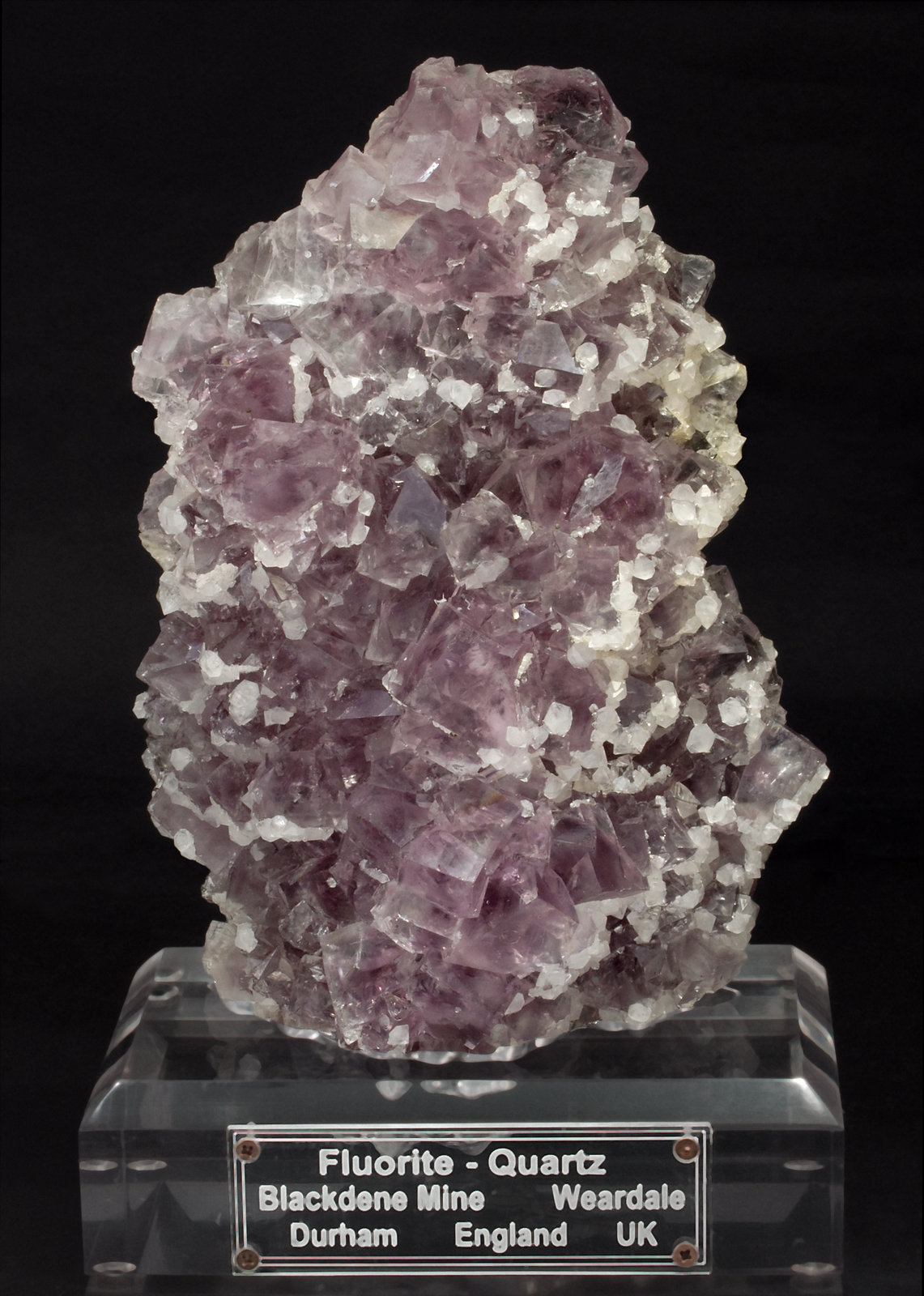 specimens/s_imagesS1/Fluorite-MY26S1fp.jpg