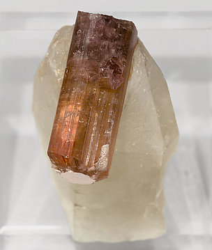 Tourmaline (Group) with Quartz (variety smoky). Top