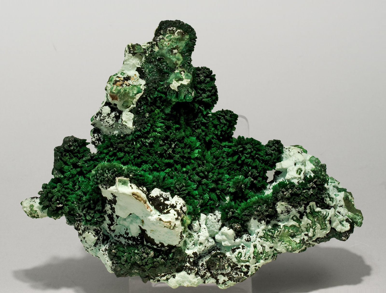 specimens/s_imagesS3/Malachite-MX66S3f.jpg