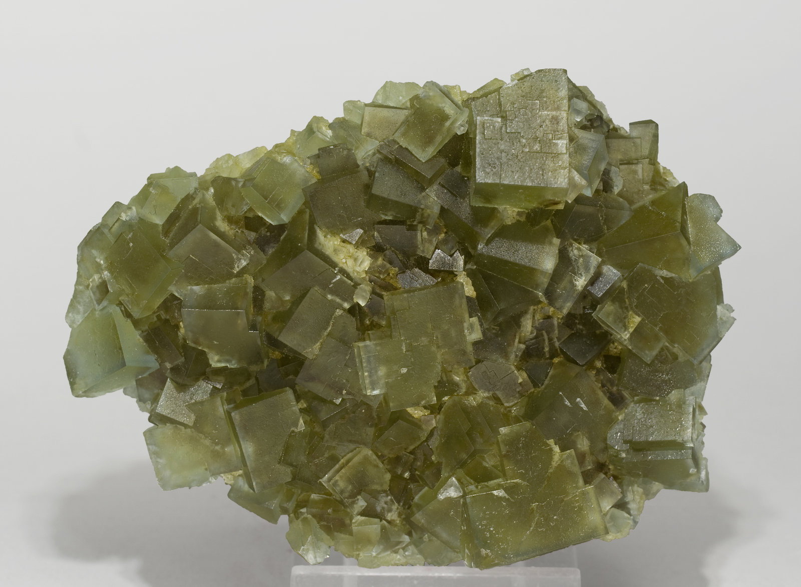 specimens/s_imagesS5/Fluorite-FB26S5.jpg