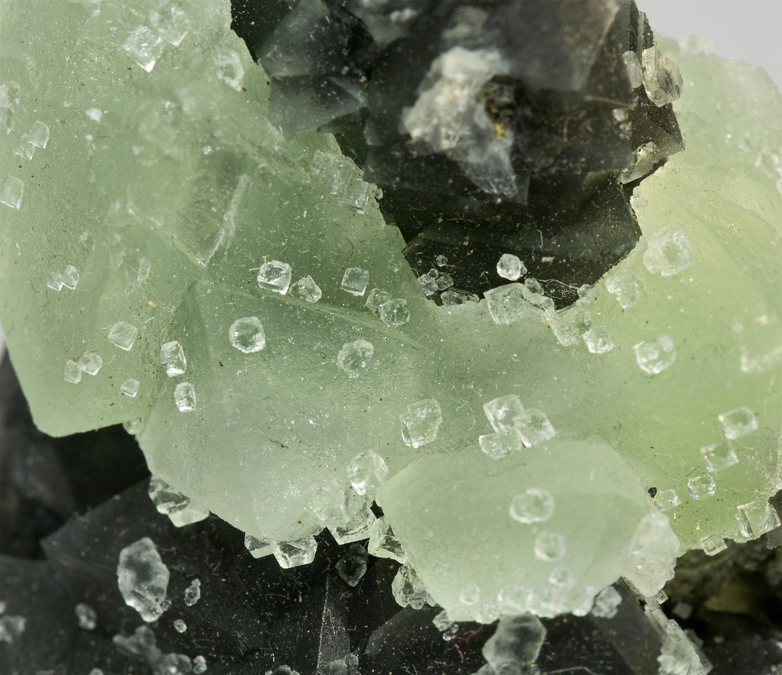 specimens/s_imagesS5/Fluorite-FB76S5d2.jpg