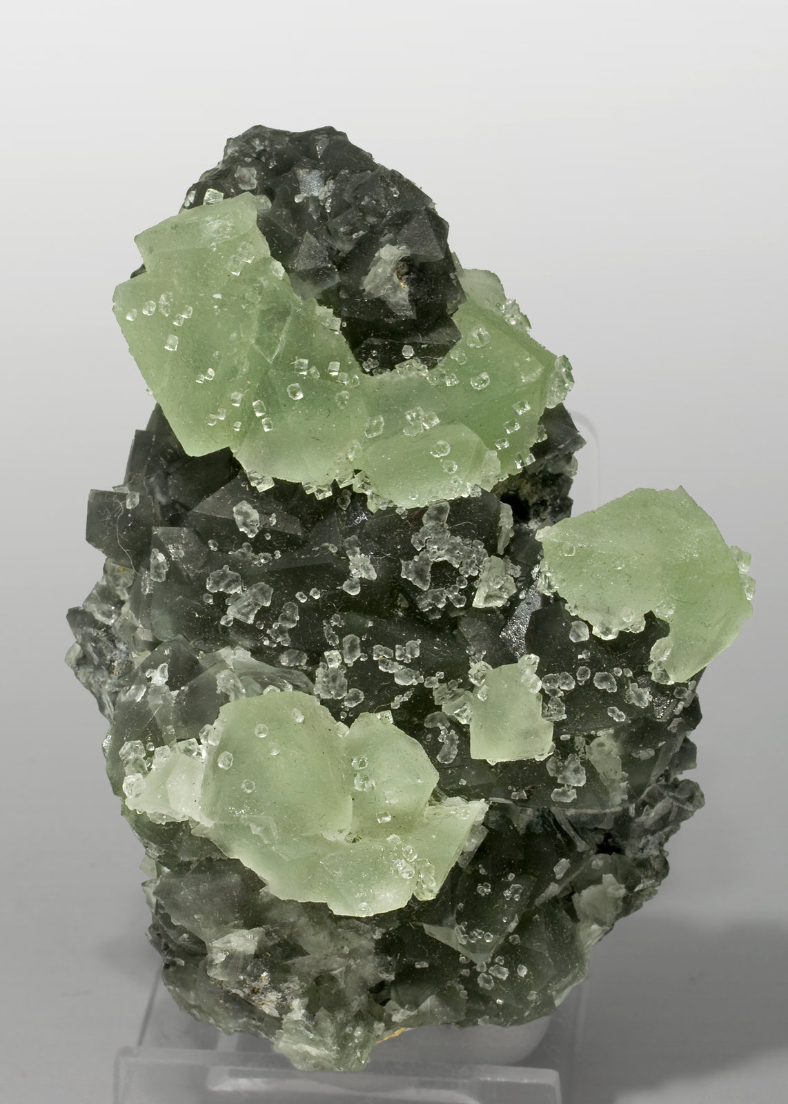 specimens/s_imagesS5/Fluorite-FB76S5f.jpg