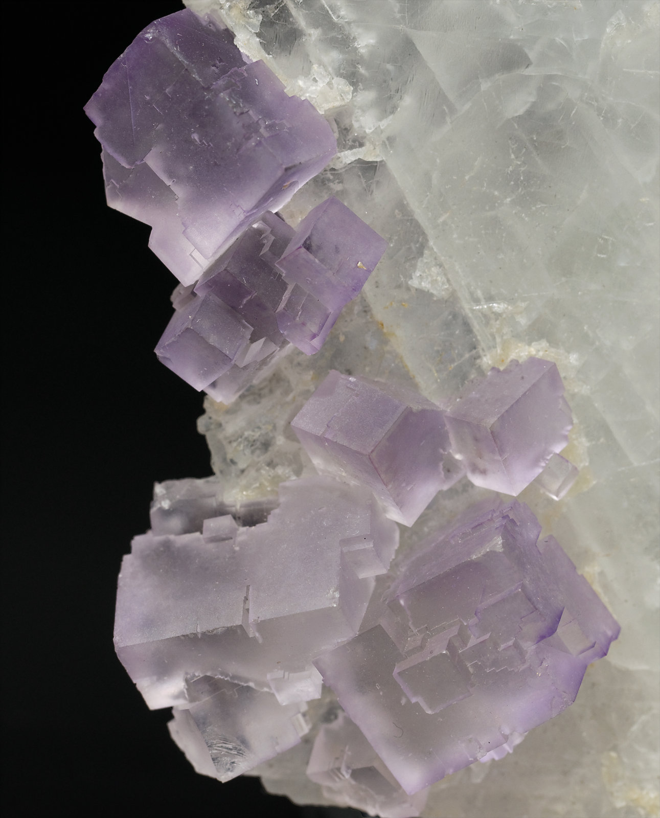 specimens/s_imagesS5/Fluorite-FG46S5d.jpg