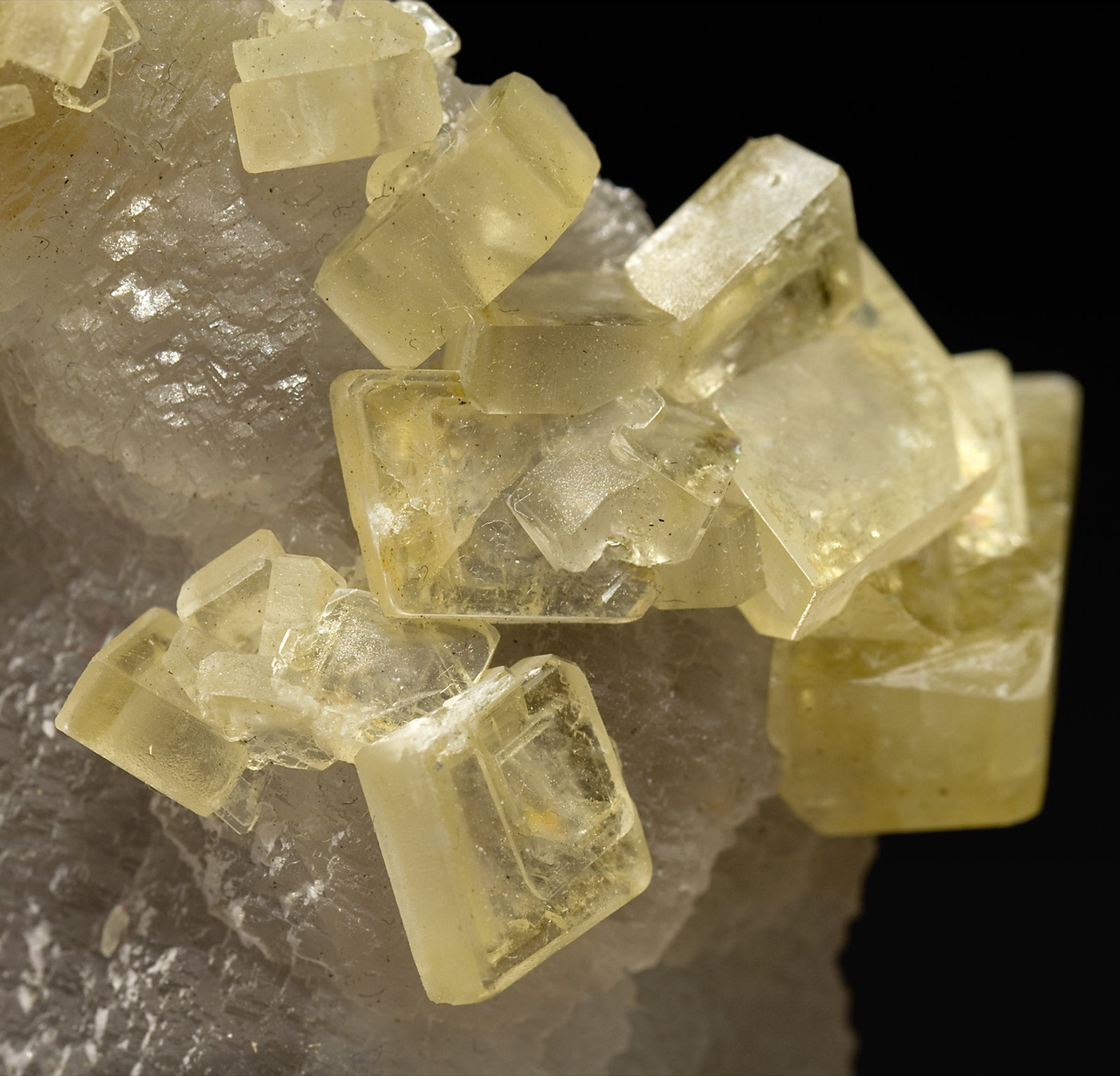 specimens/s_imagesS5/Fluorite-FH9S5d.jpg