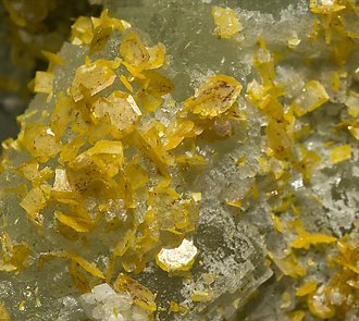 Fluorite with Wulfenite. 