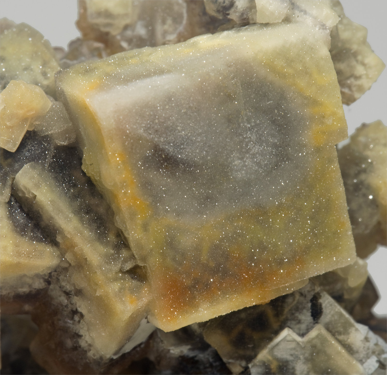 specimens/s_imagesS5/Fluorite-FX6S5d.jpg