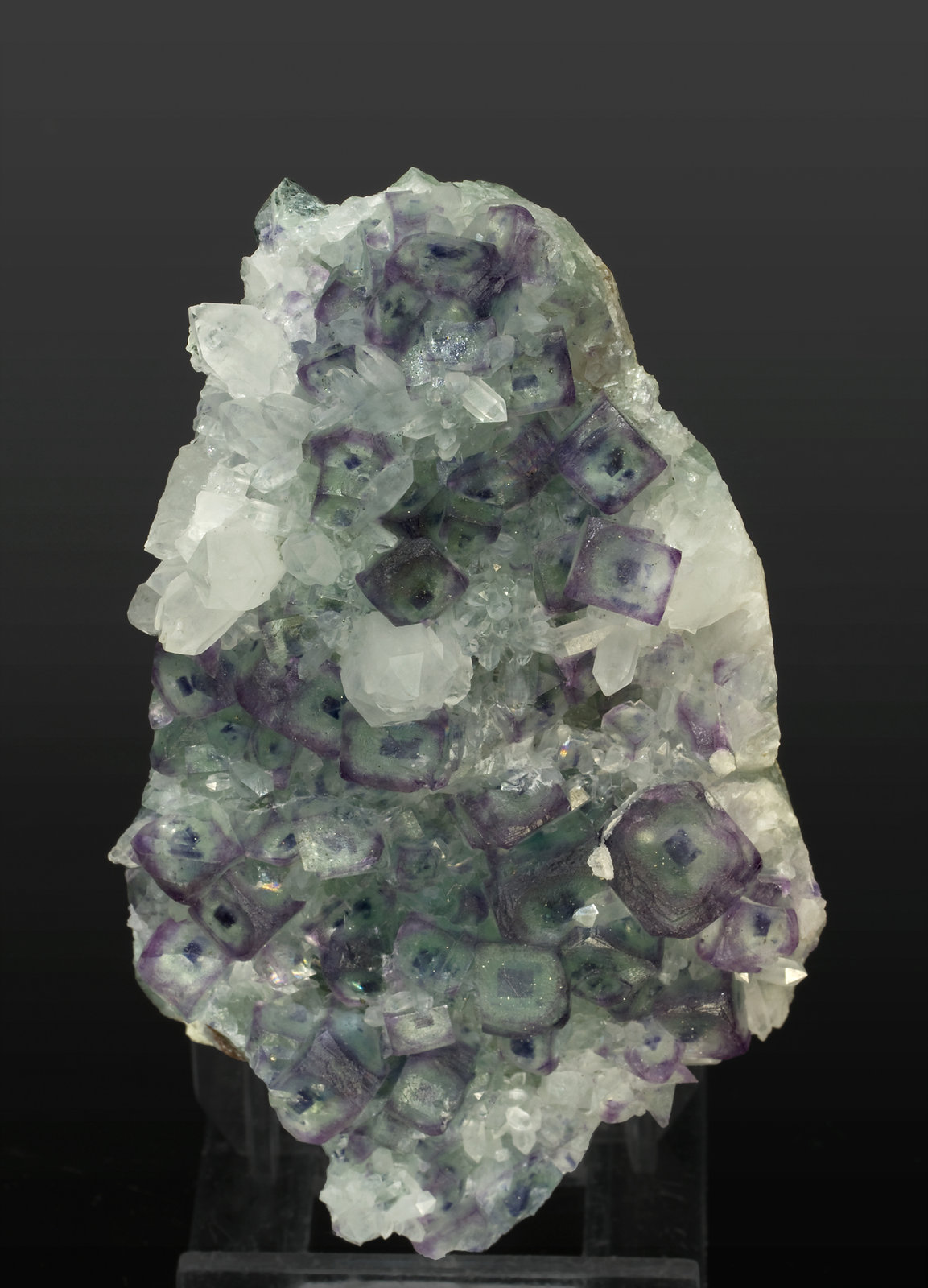 specimens/s_imagesS5/Fluorite-MT76S5f.jpg